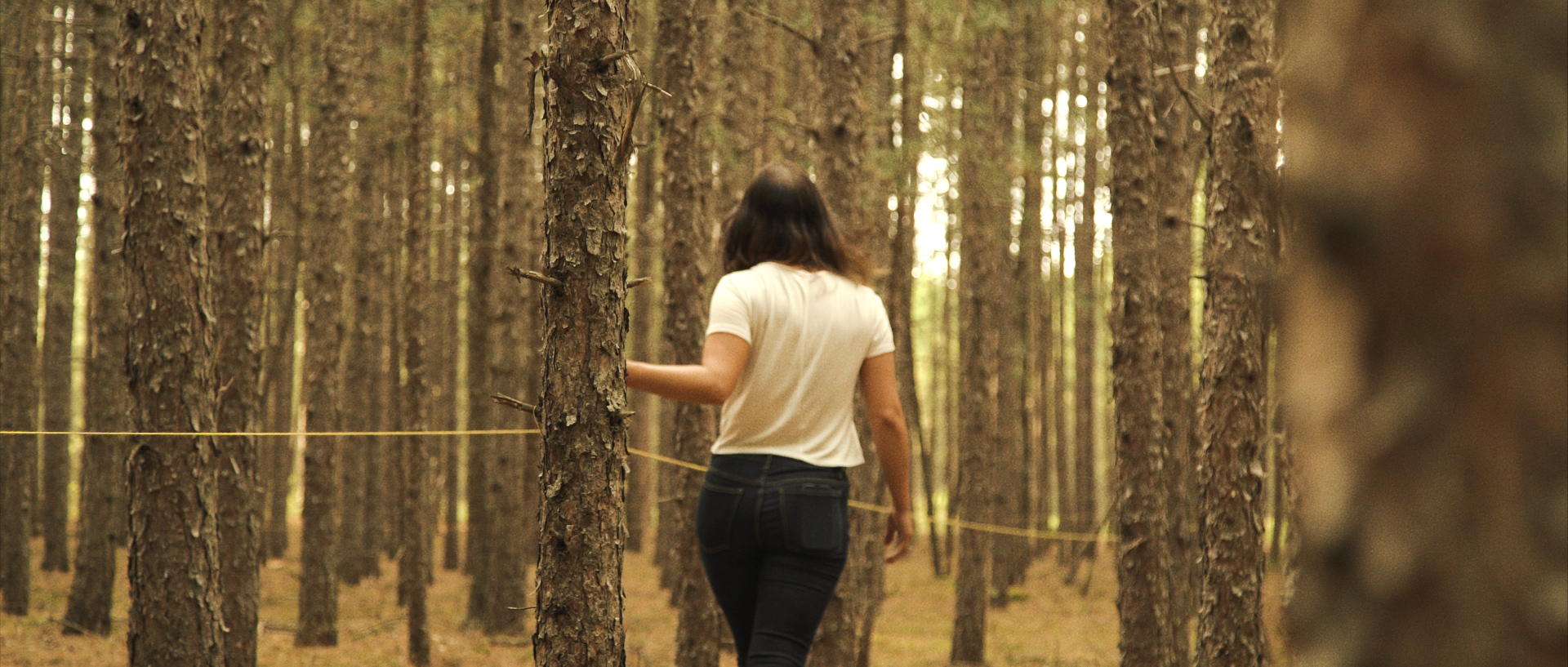 Physical Barrier, Endless Loop