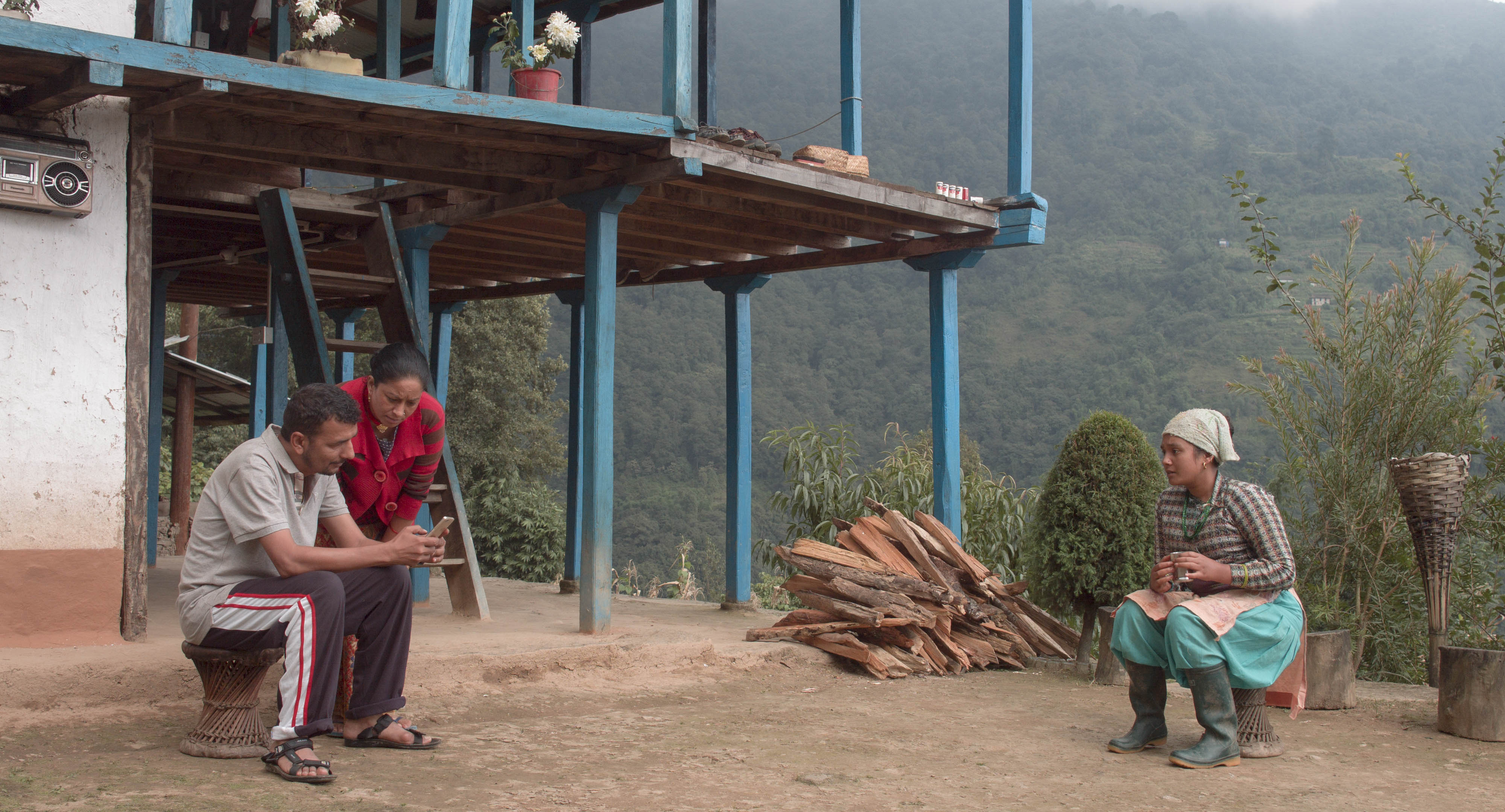 Bare Trees In The Mist
