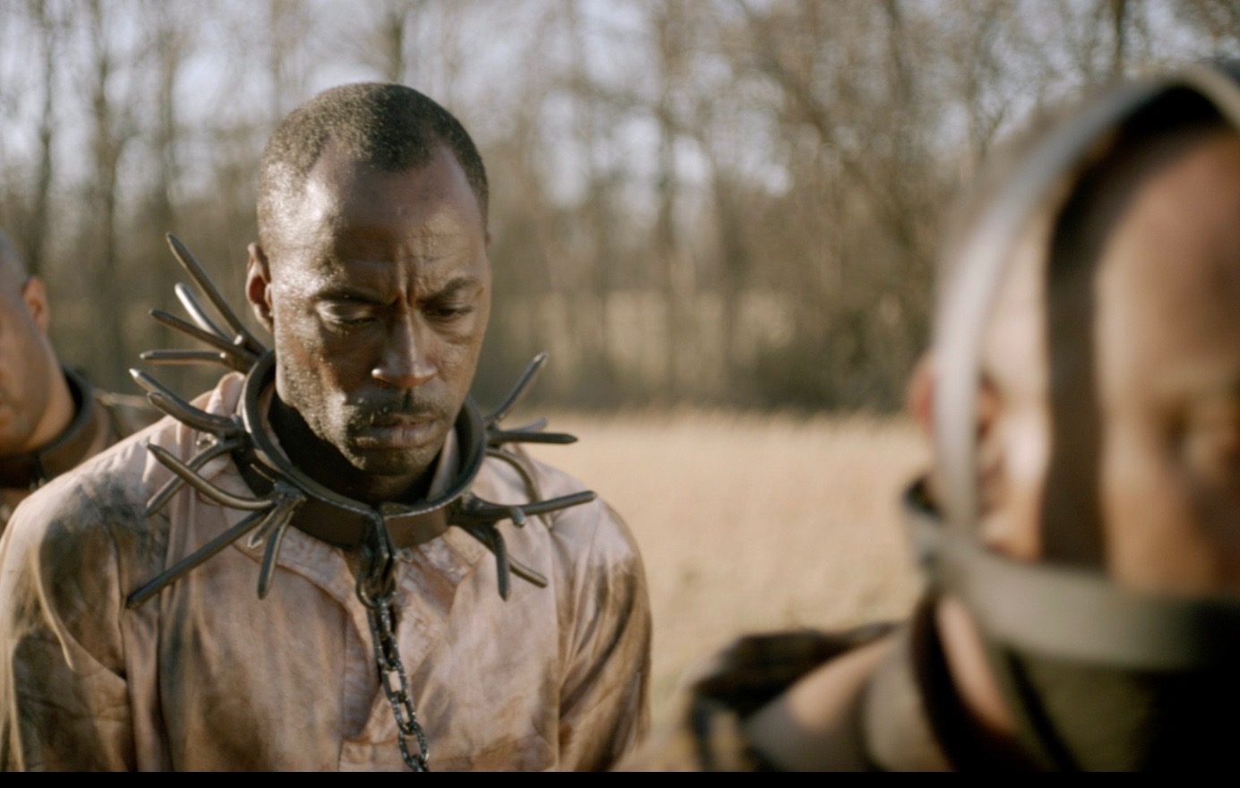 What the Wind Carries