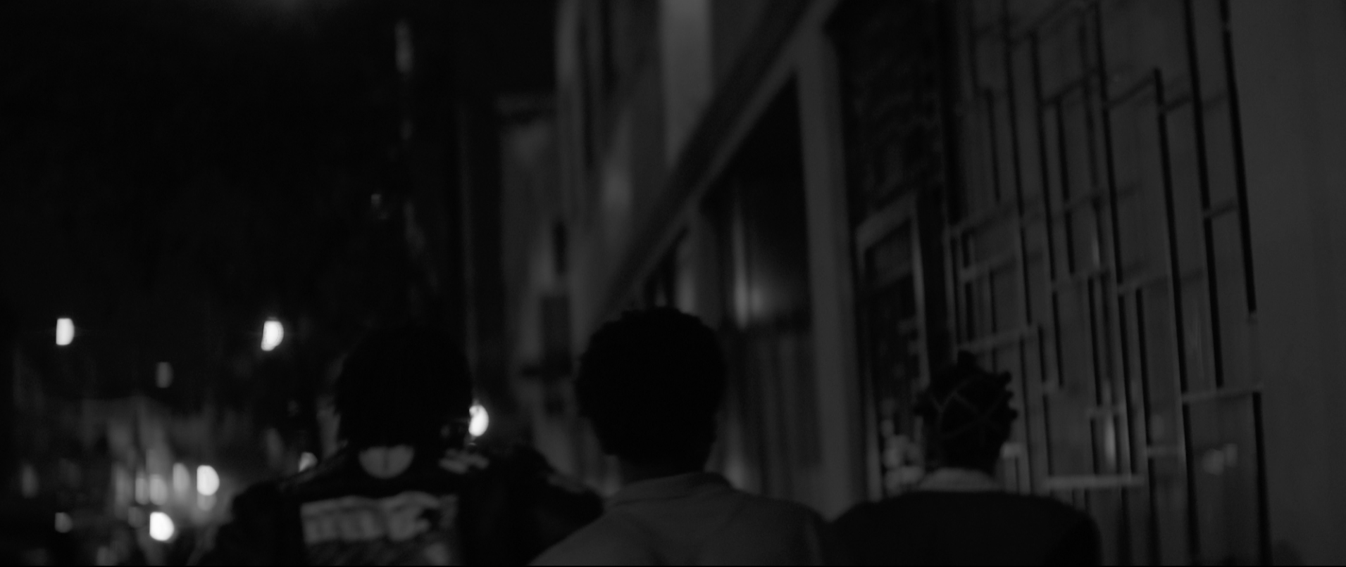 Into the Night