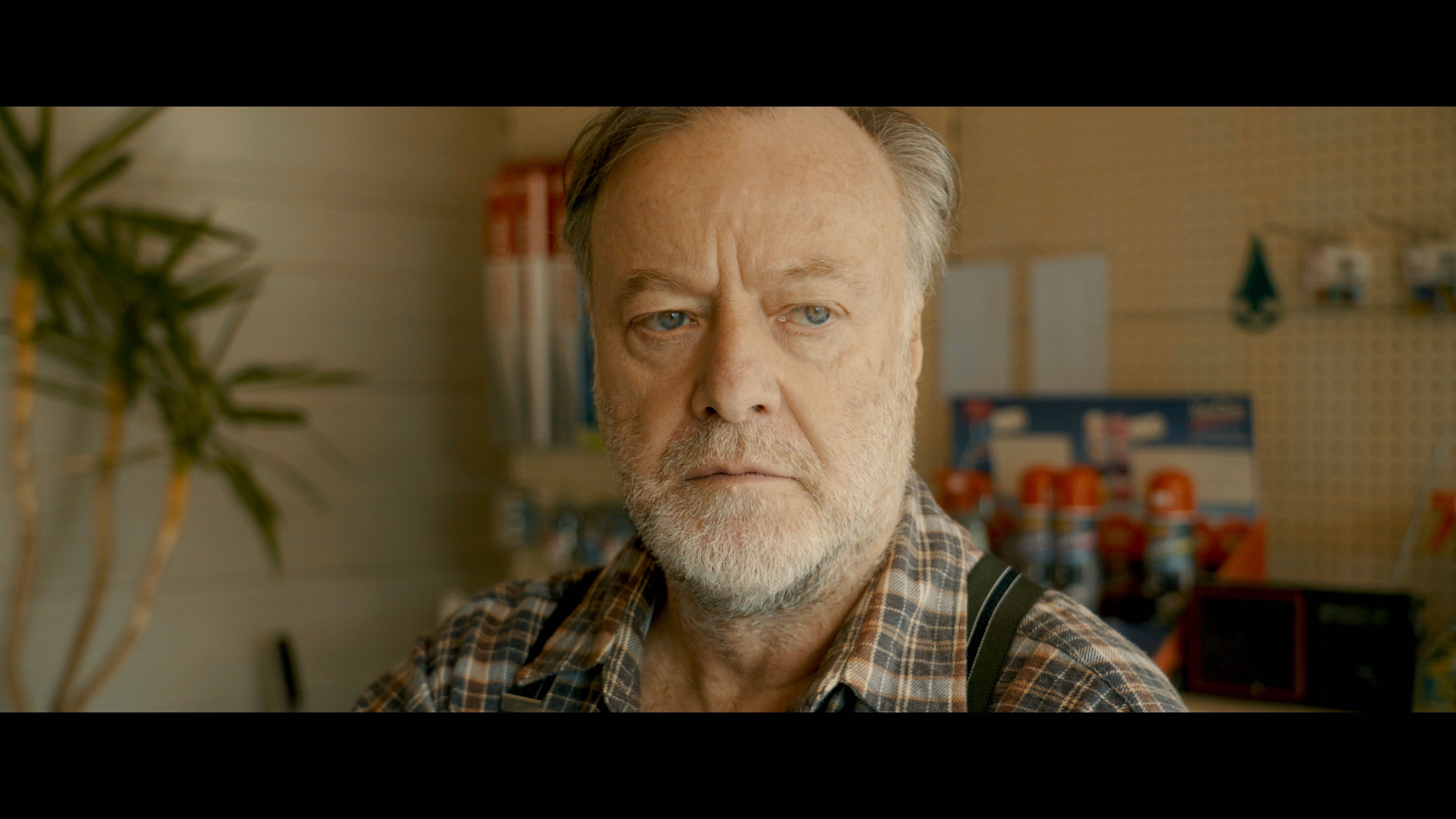 Pas totalement par hasard