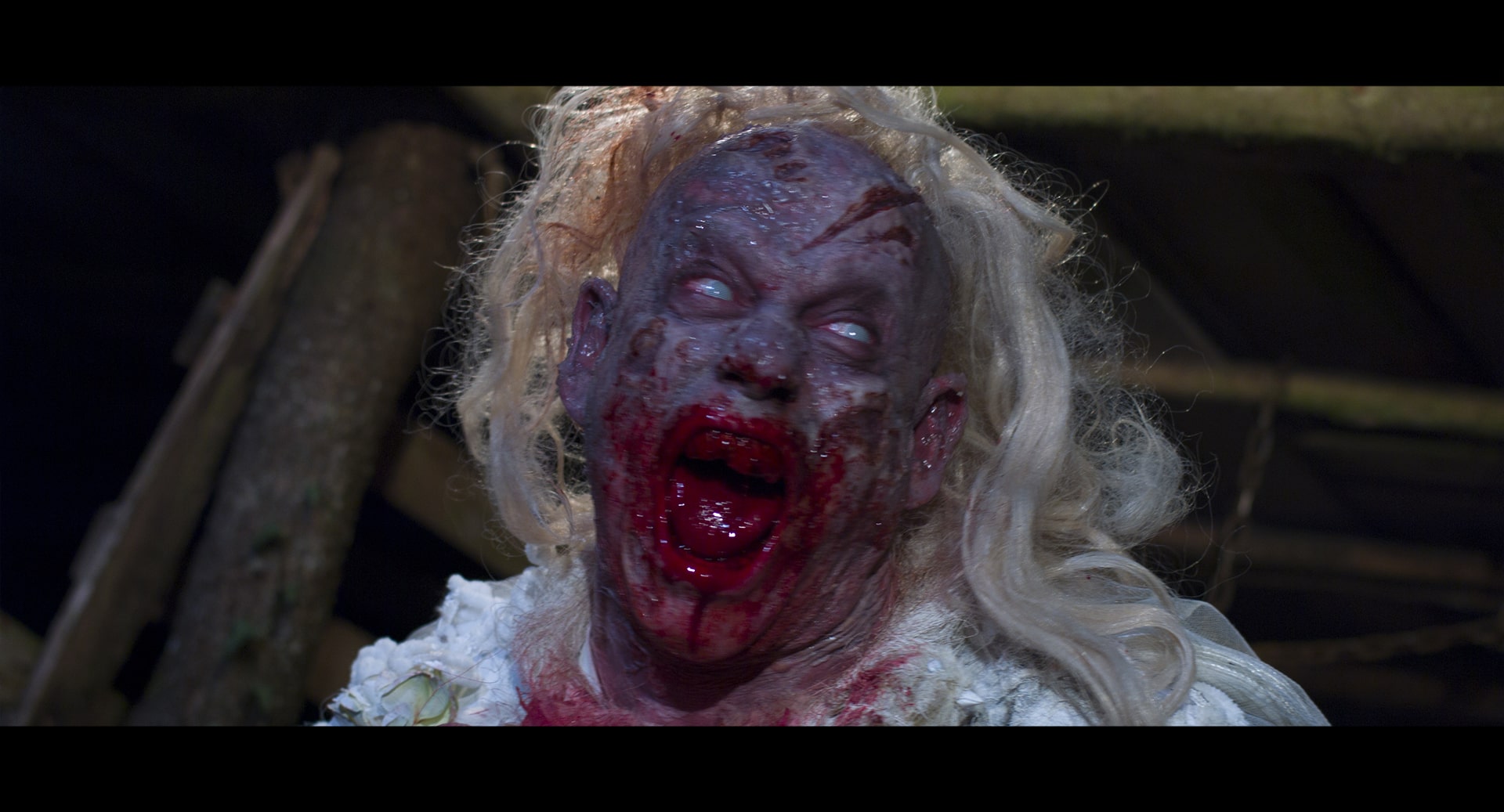 Bernard-Henri, escape from terre