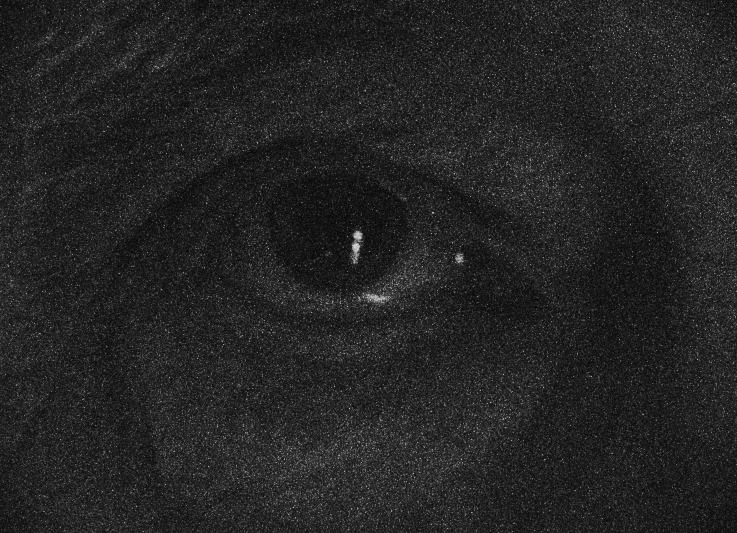 Gespräche über den Tod