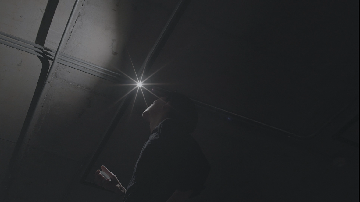 Transcript with shadows