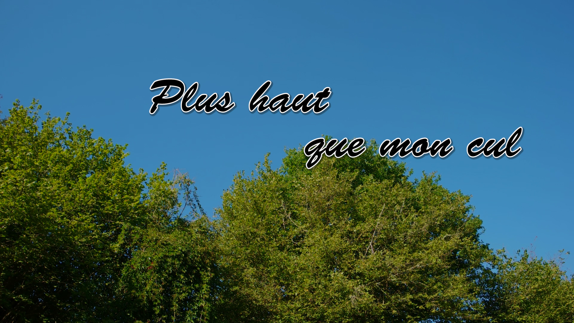 Plus haut que mon cul