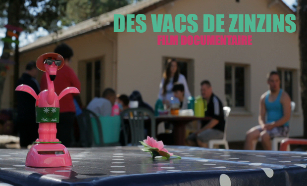 Des Vacs de Zinzins