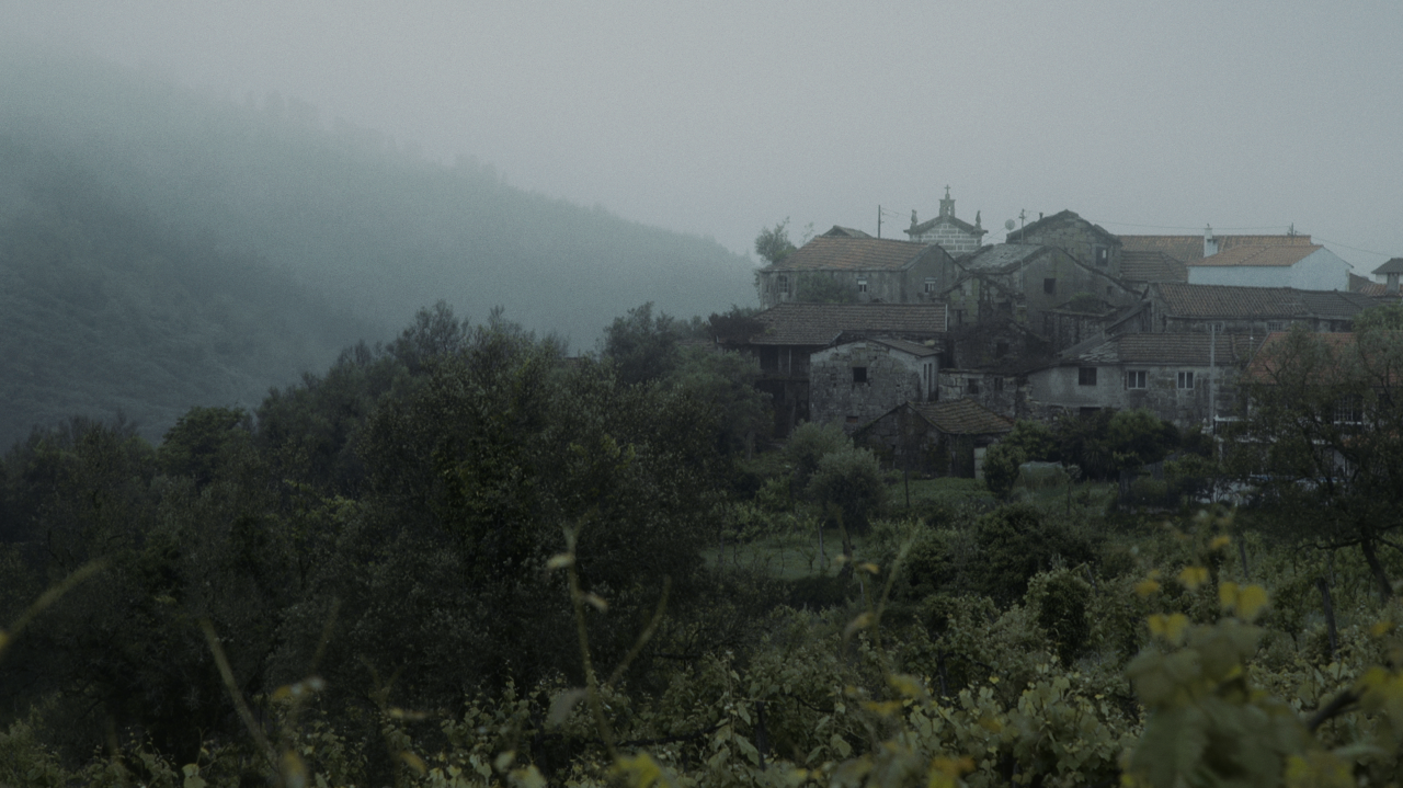 Napolju cvetaju narandže