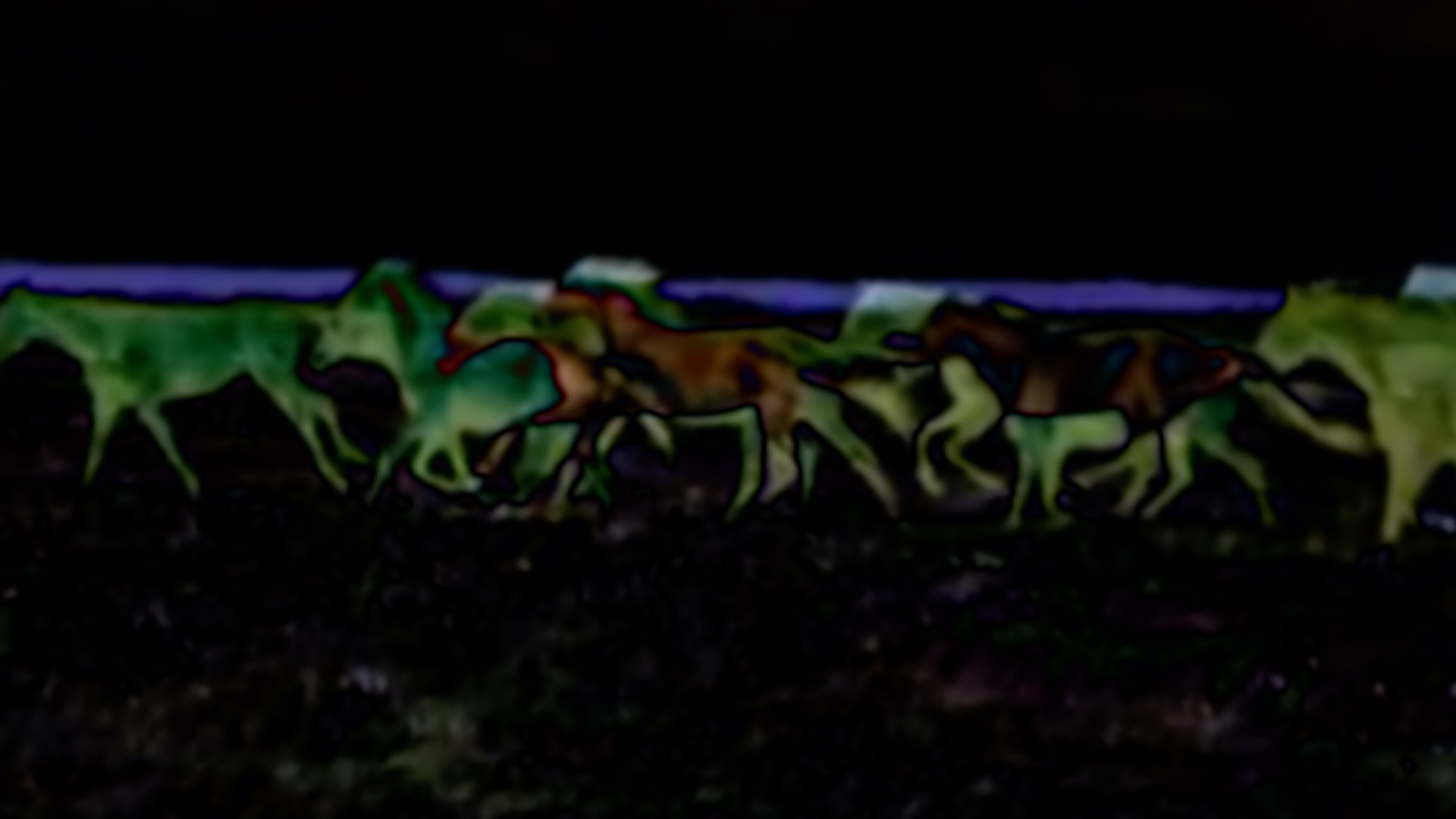 Girls Grow Up Drawing Horses