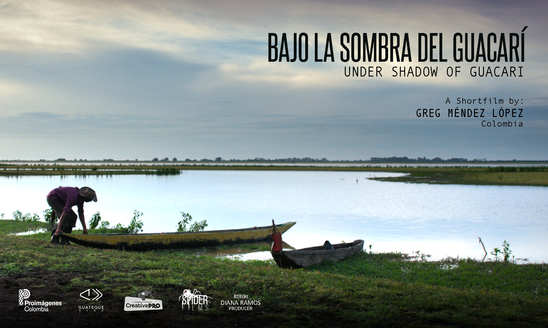 Bajo la Sombra del Guacari