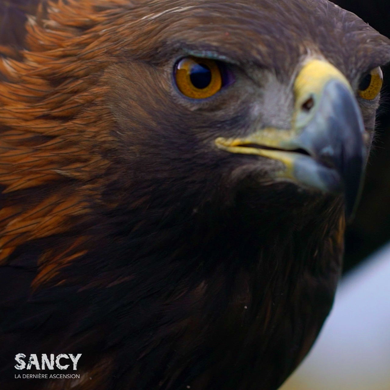 Sancy : la dernière ascension