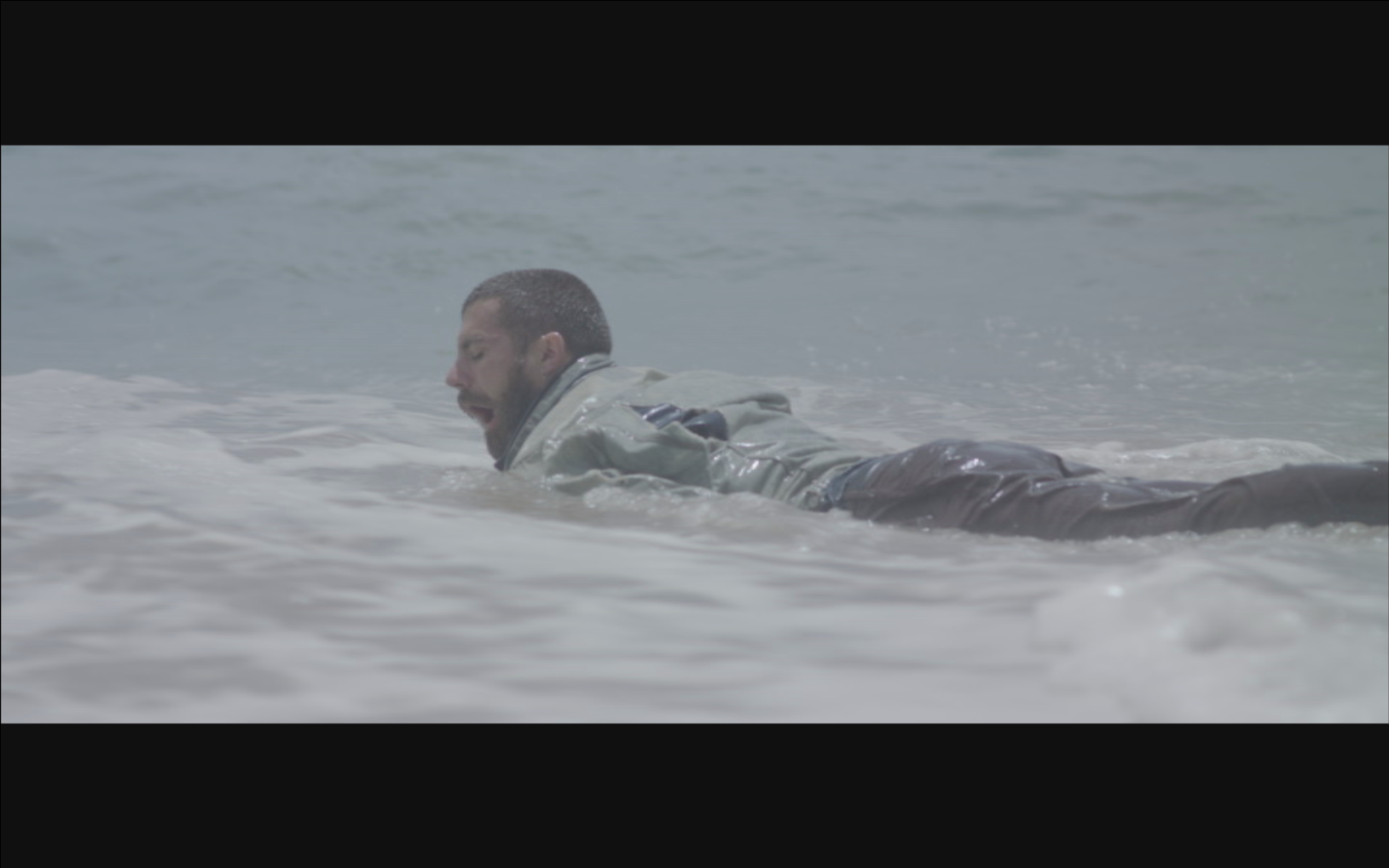 Tout Le Coeur, Pas De Tete