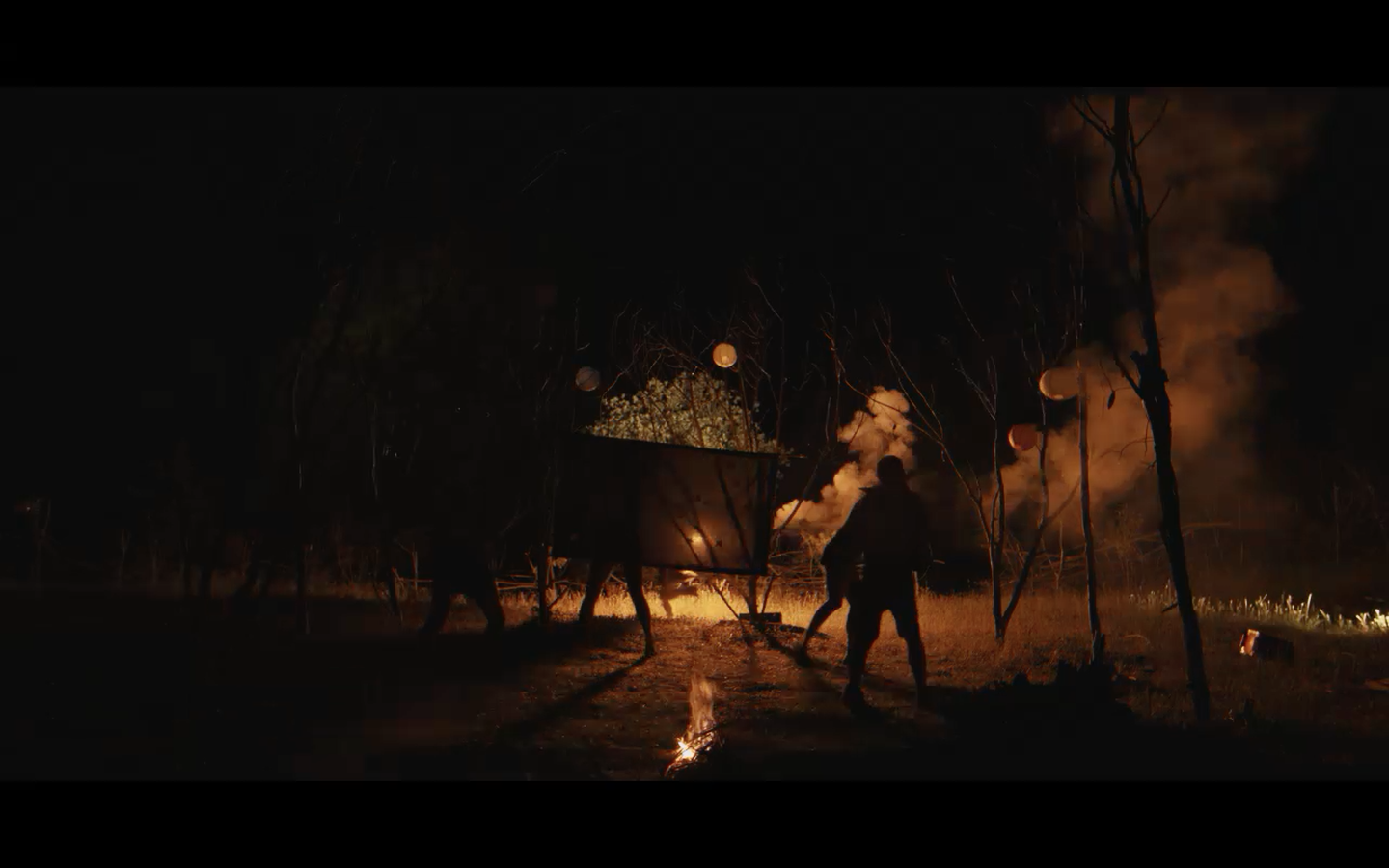 Kedi, Sarı, Kanocular ve Ev Sahibi