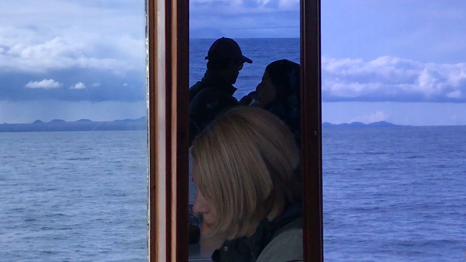 Fragments of a dream analysis