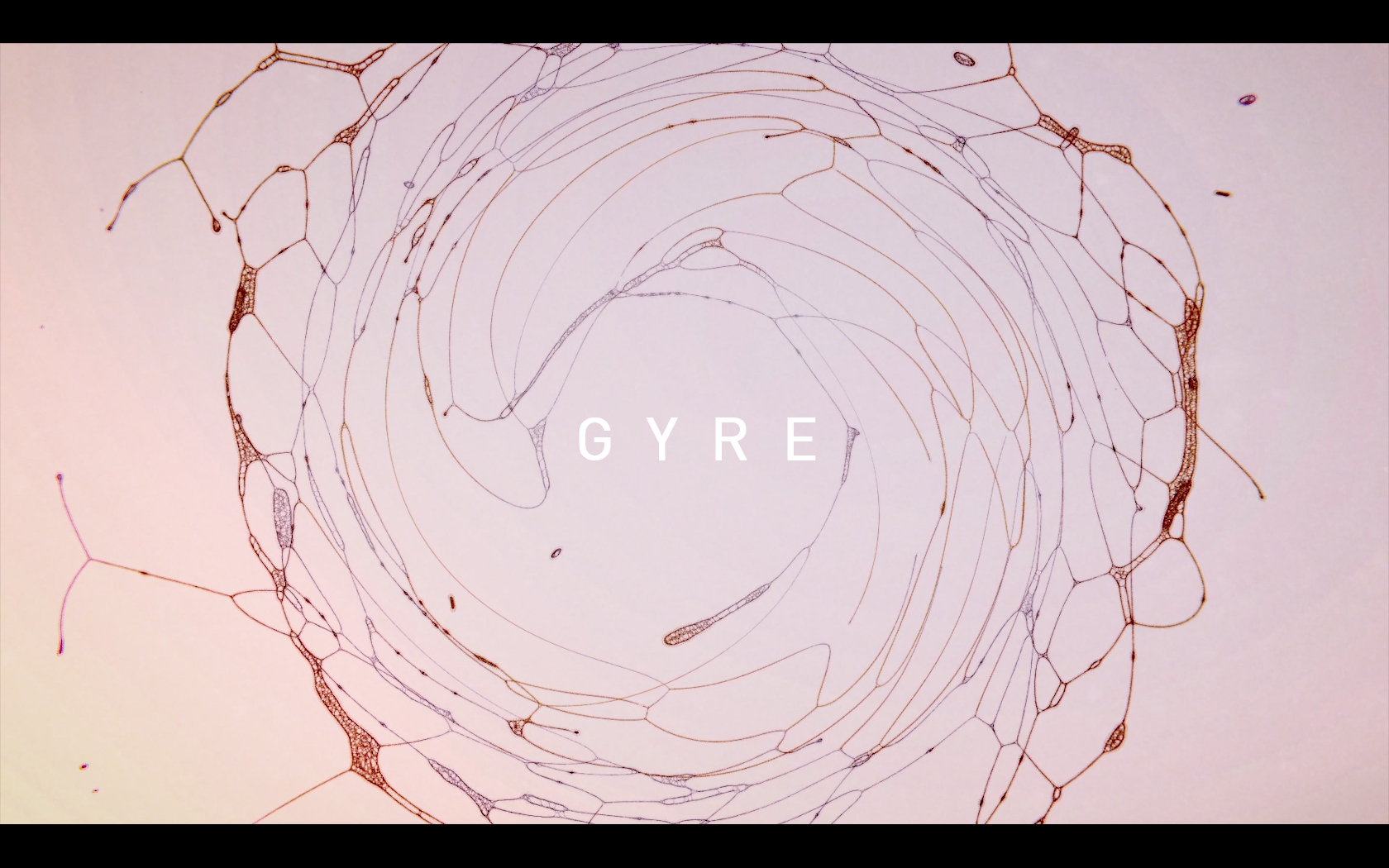 Gyre