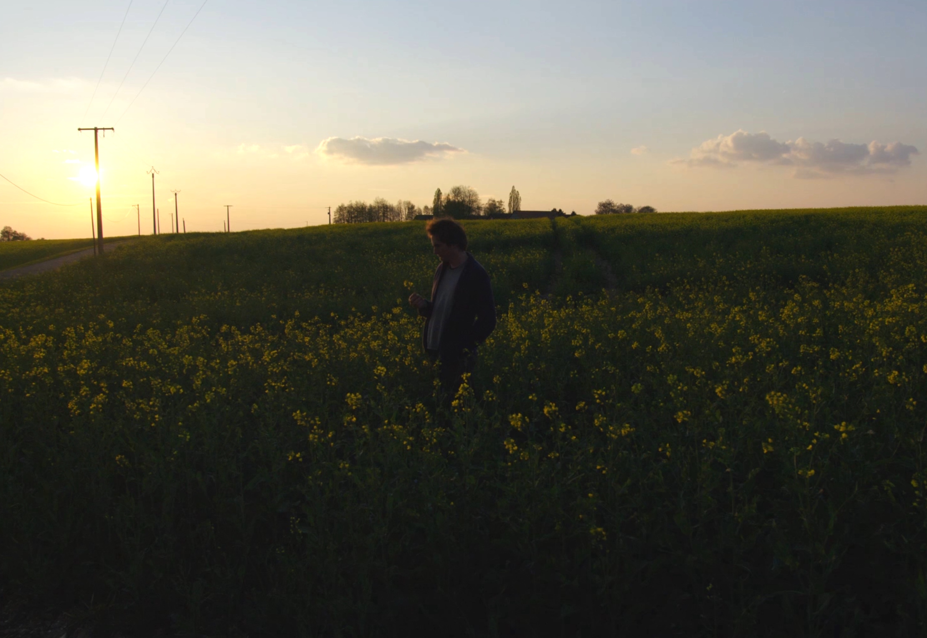 Sa plage et ses cygnes