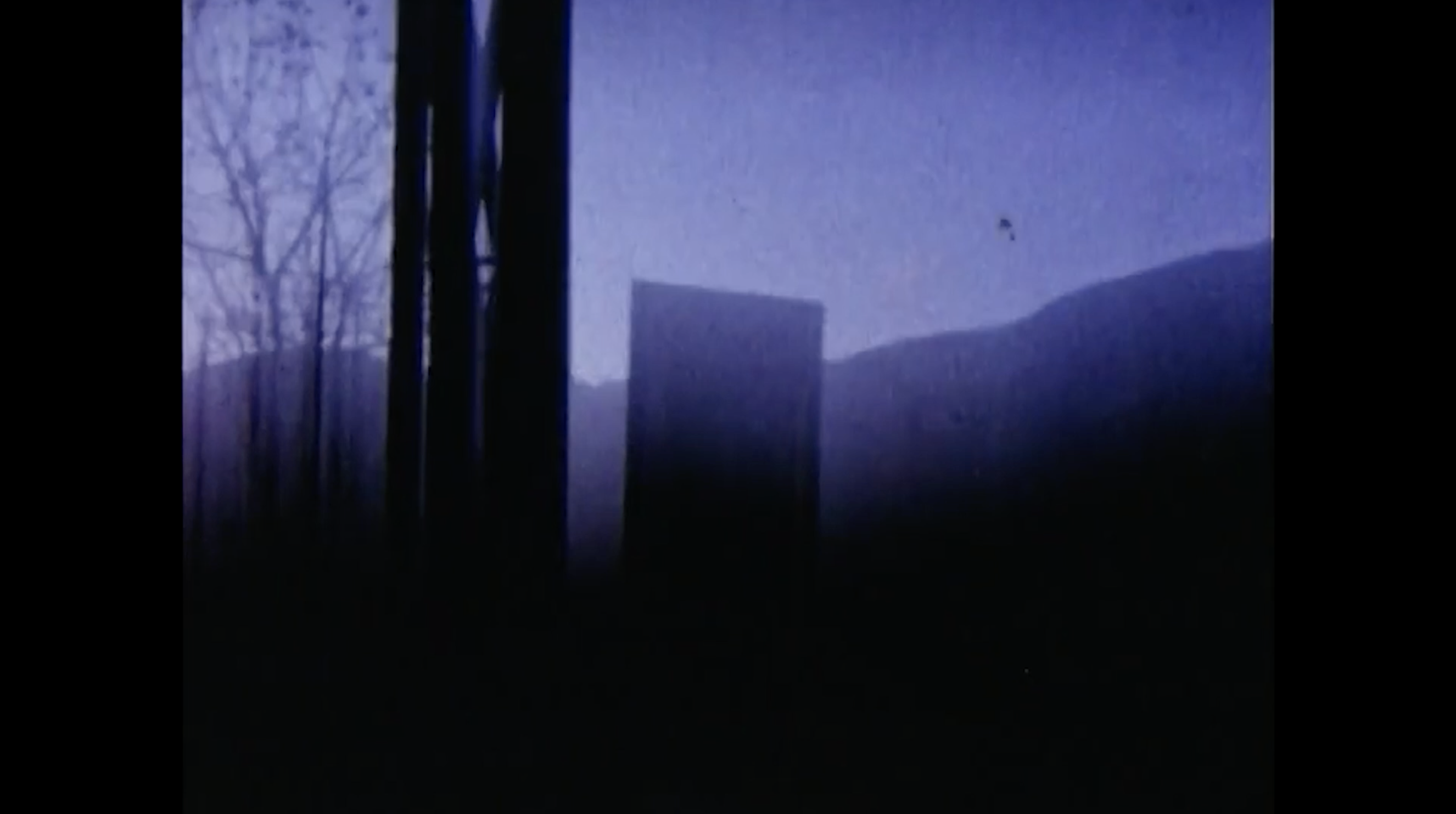 Gaviota y el pez dormido