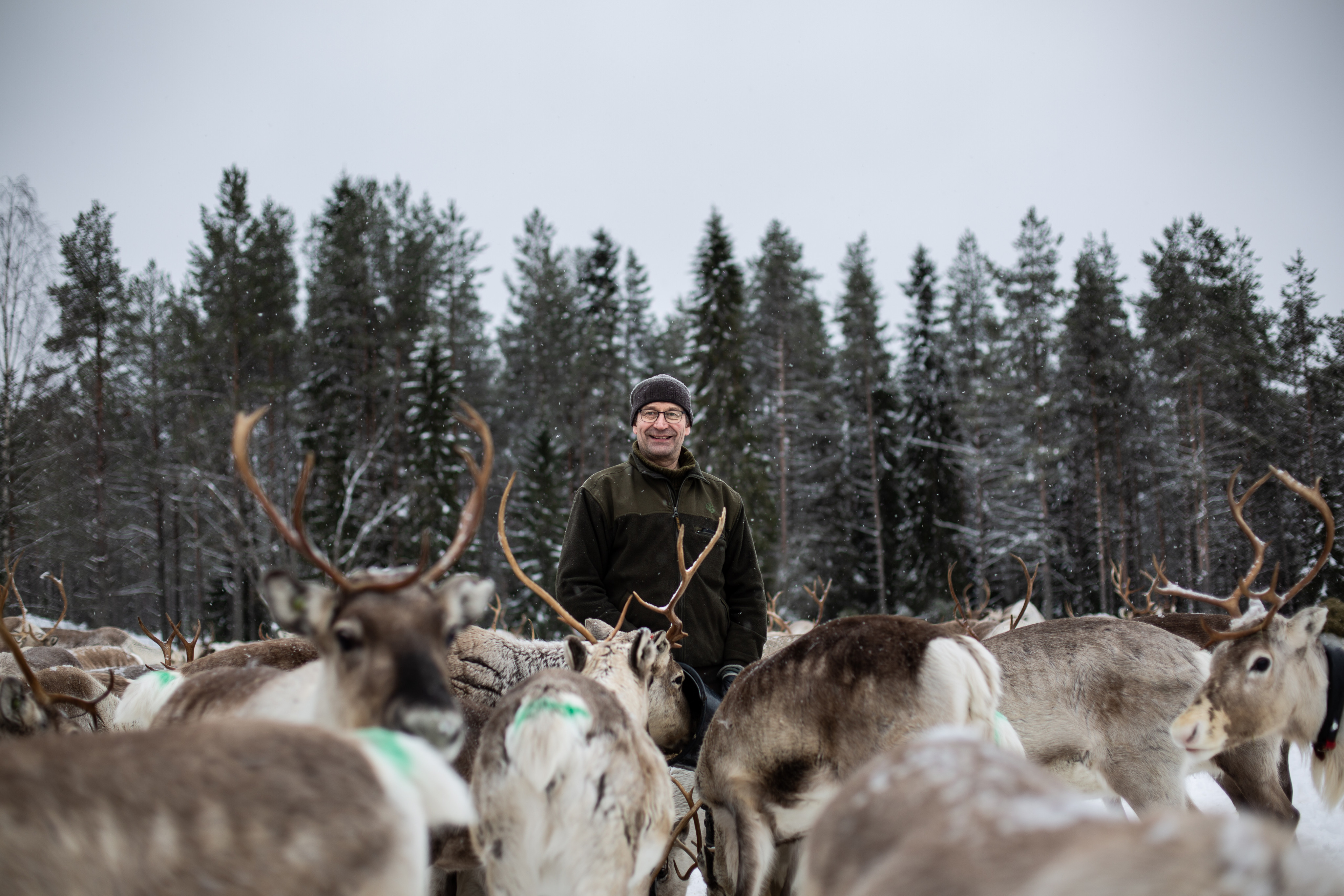Juha - in the life of a reindeer herder
