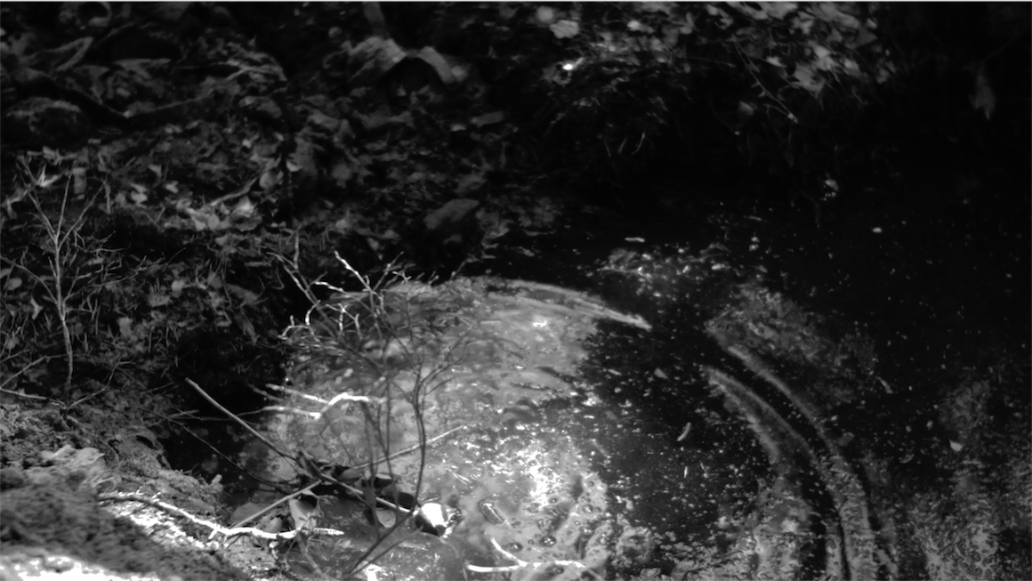 Spoon Says Leningrad