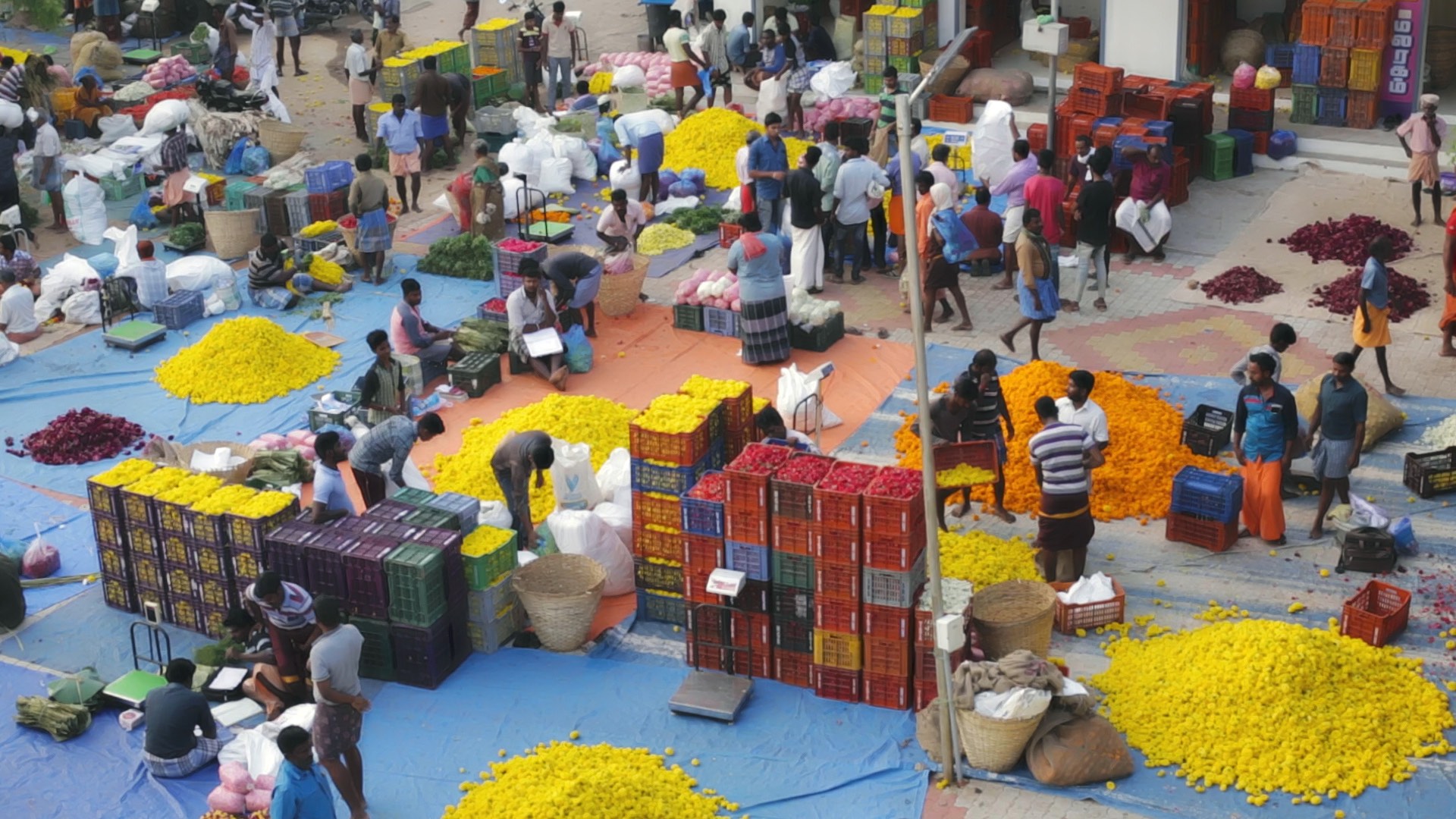 Flowers and The Gemstones