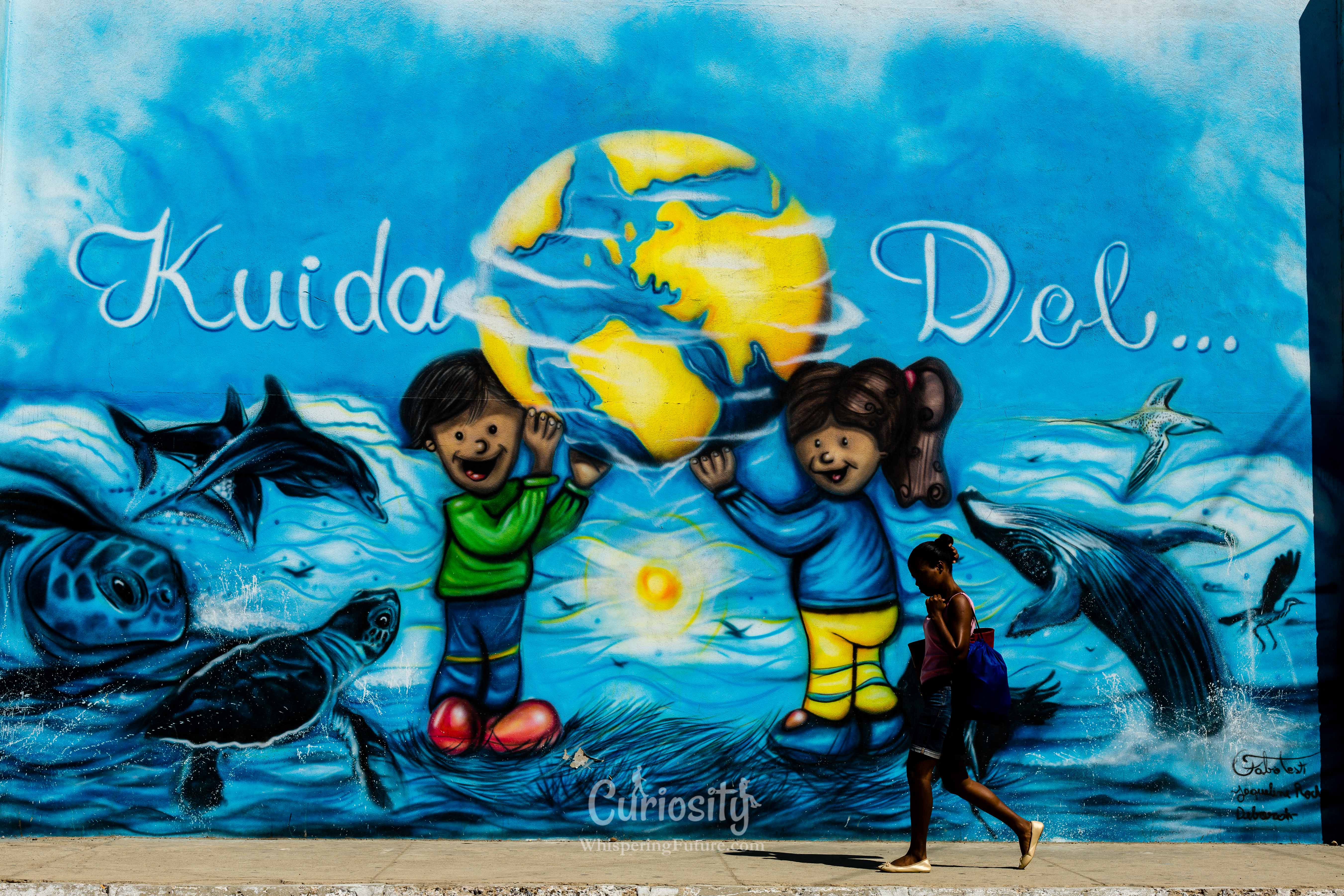 Sea turtles - their future is in your hands