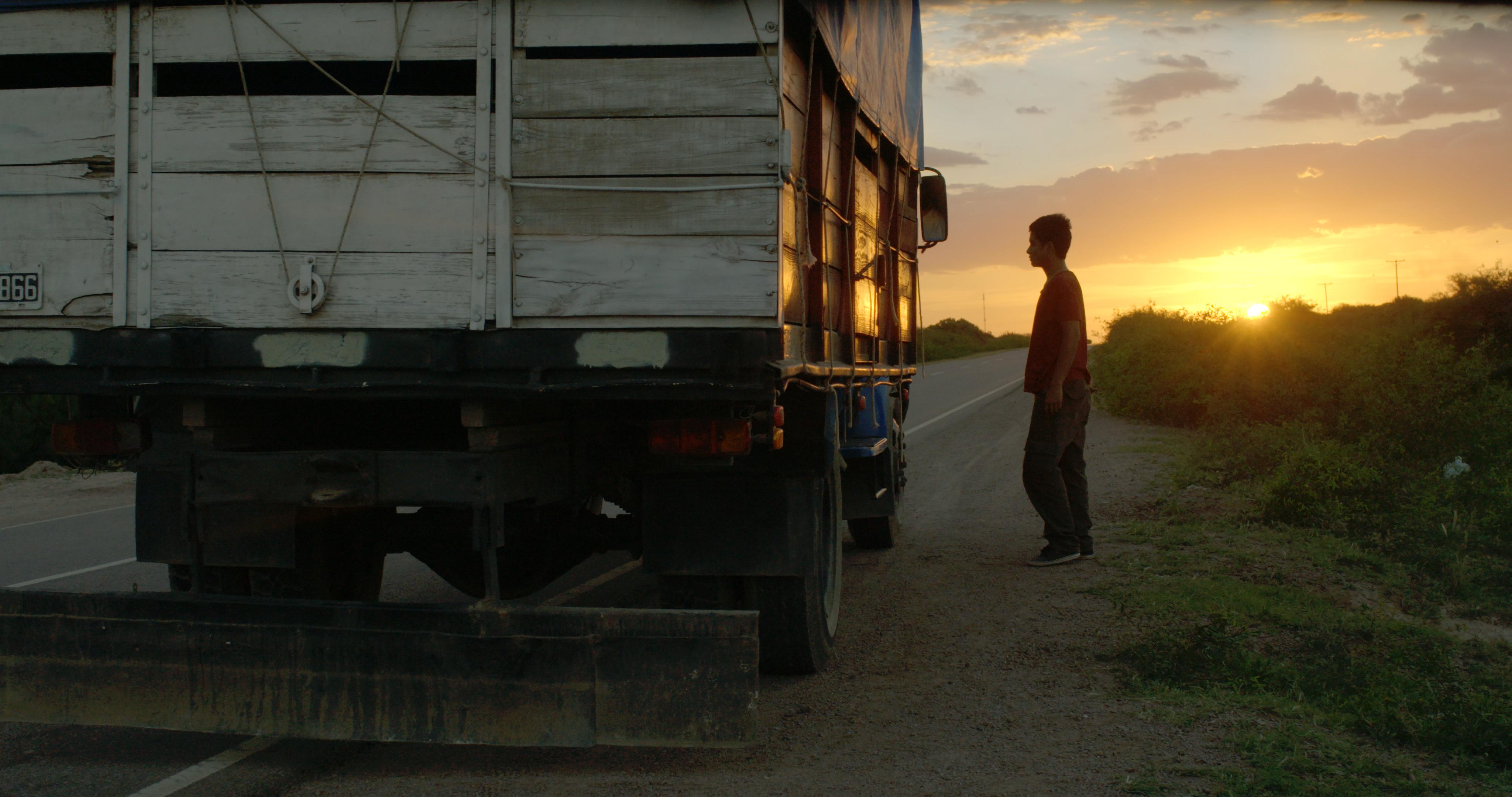 Florecer de un bombisto