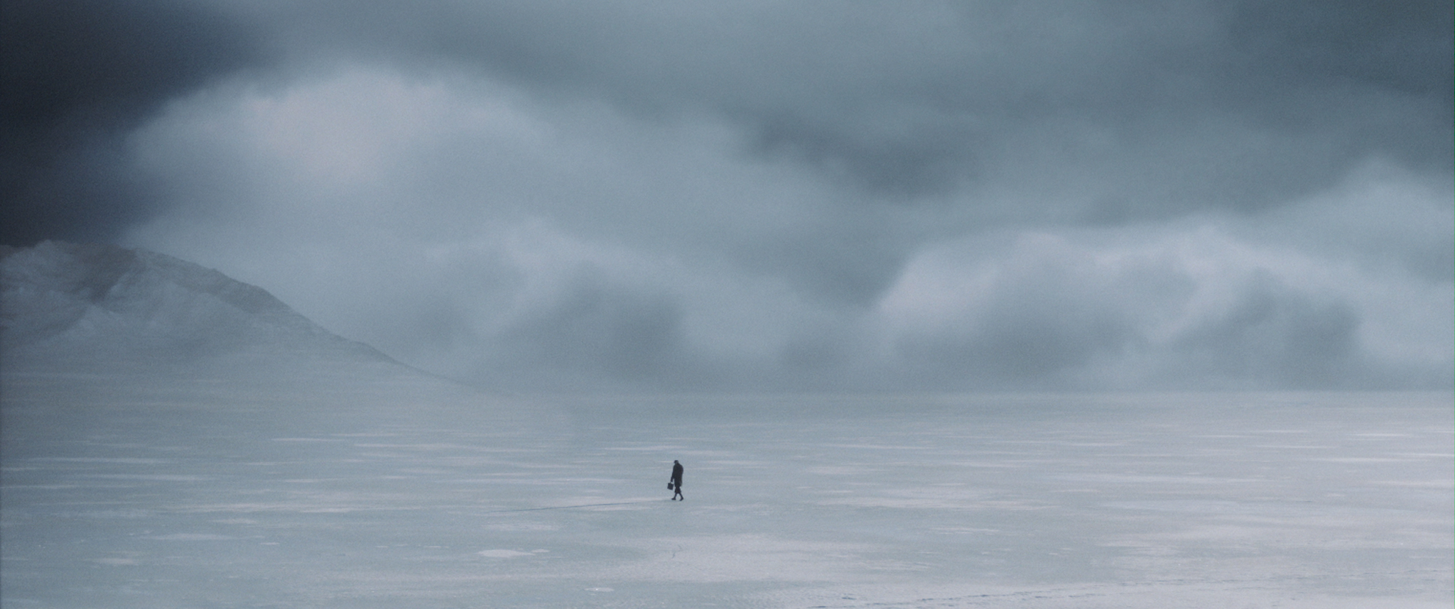 Tomorrow the Birds will Sing