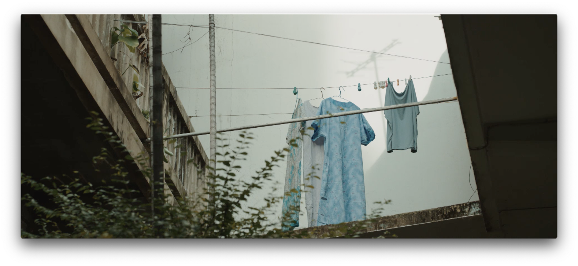 Happy Birthday, Great Grandma