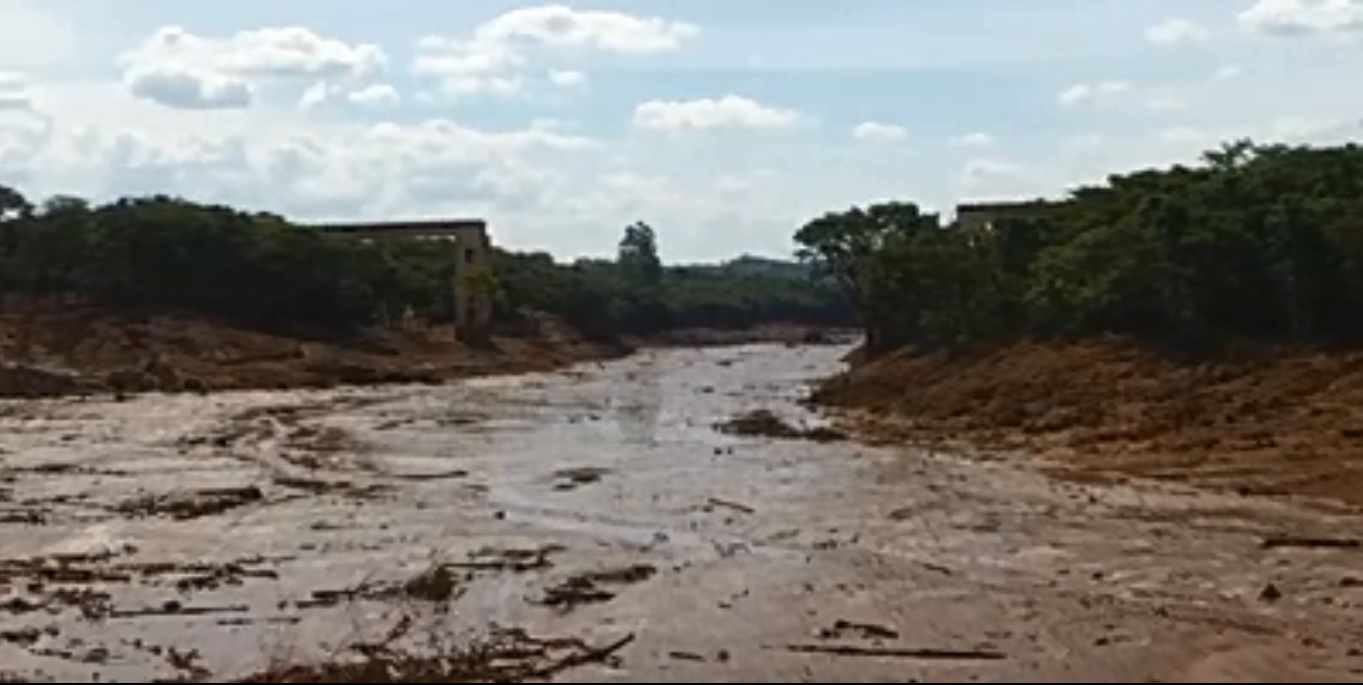 Damn Ironland - Senior Presidente