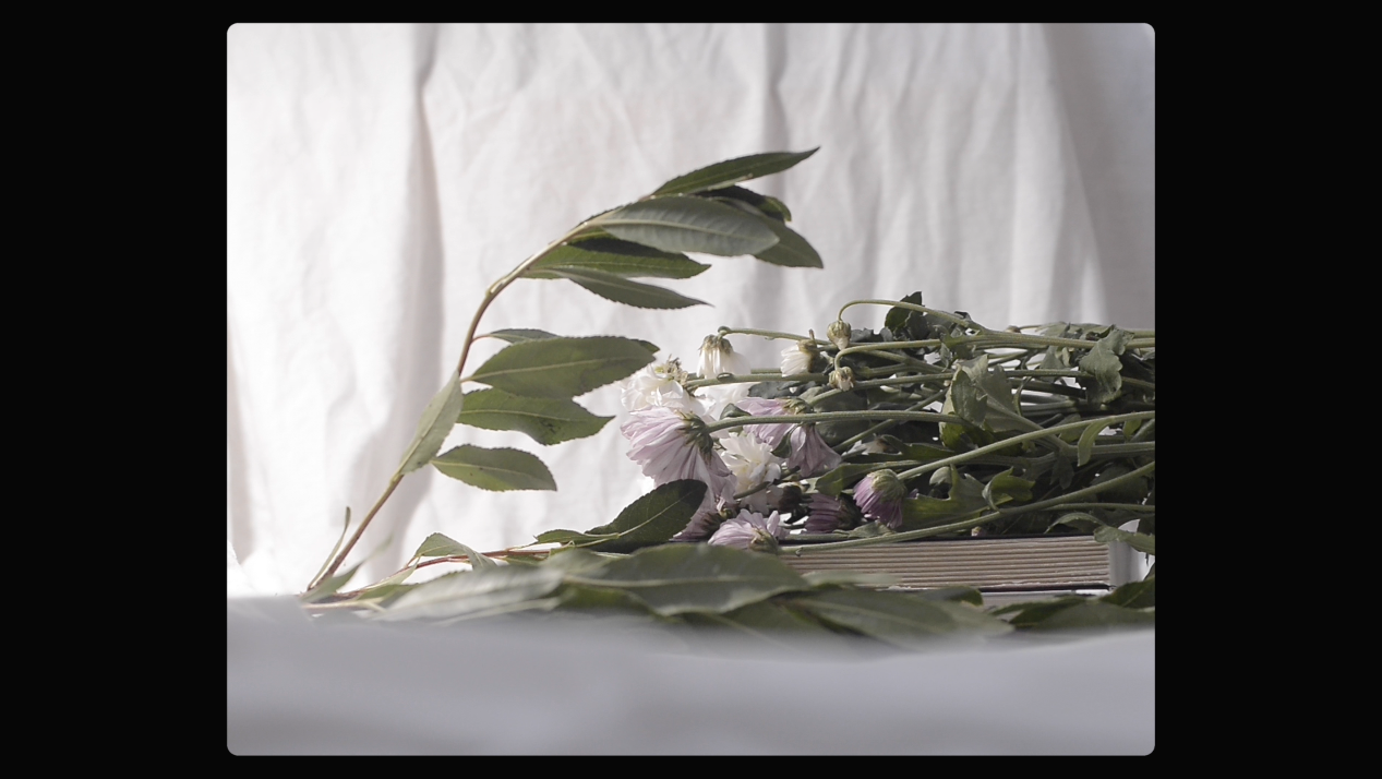 Un autorretrato en objetos