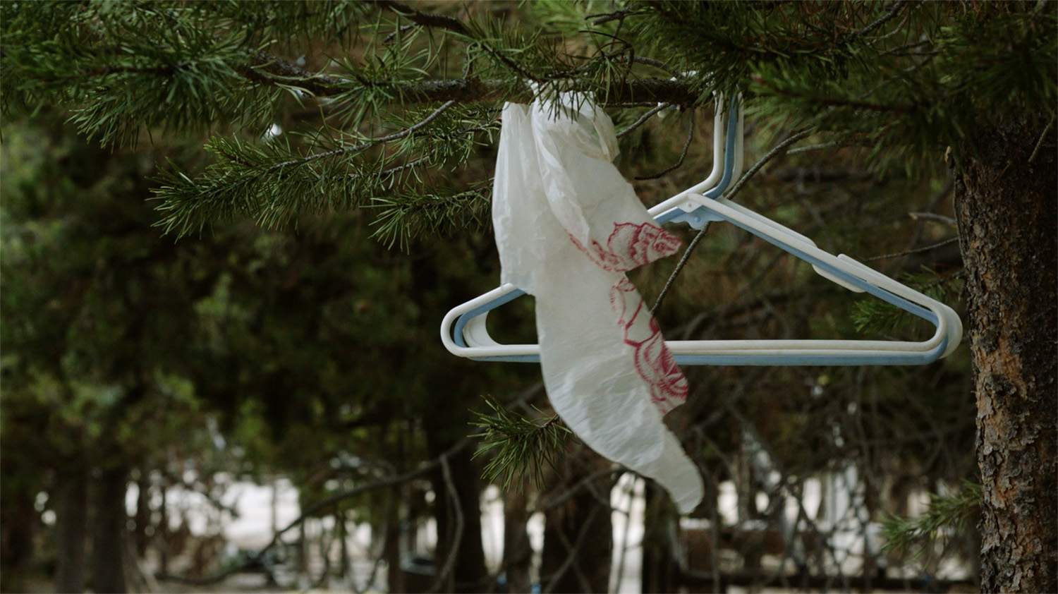 Out Beyond the Kingdom