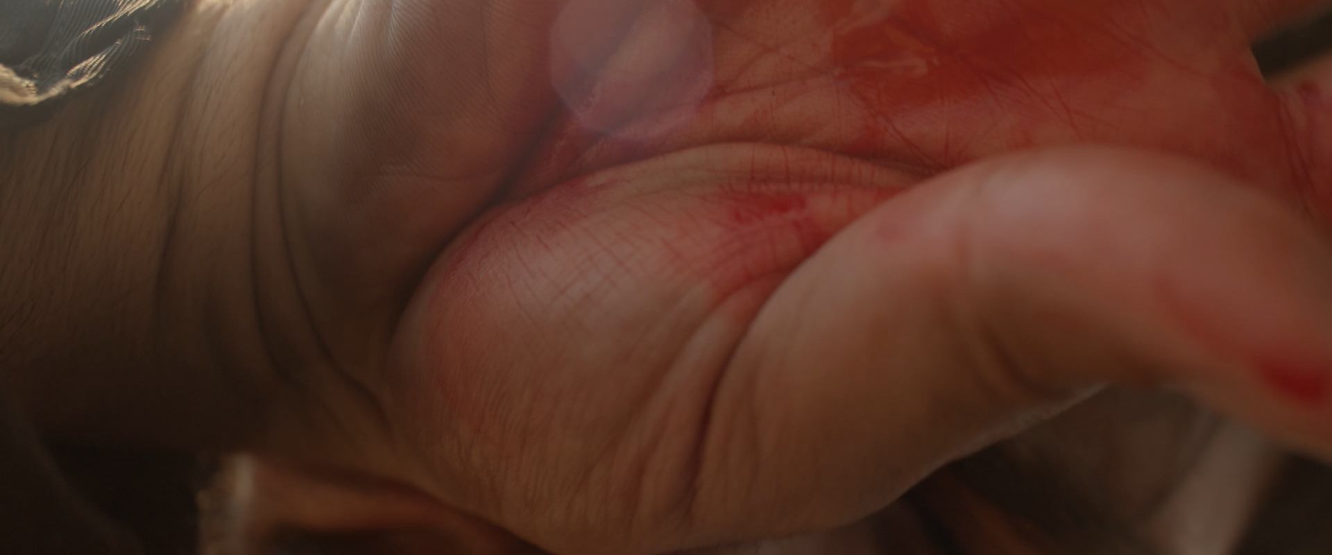 Immacolata Concezione