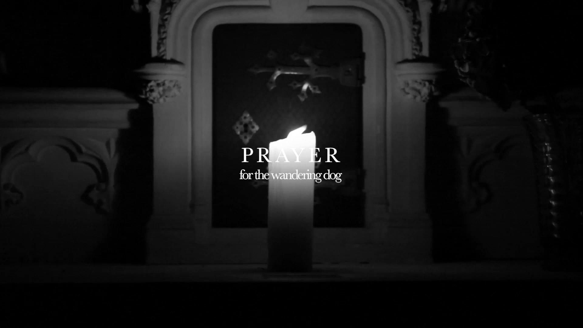 Prière pour chien errant