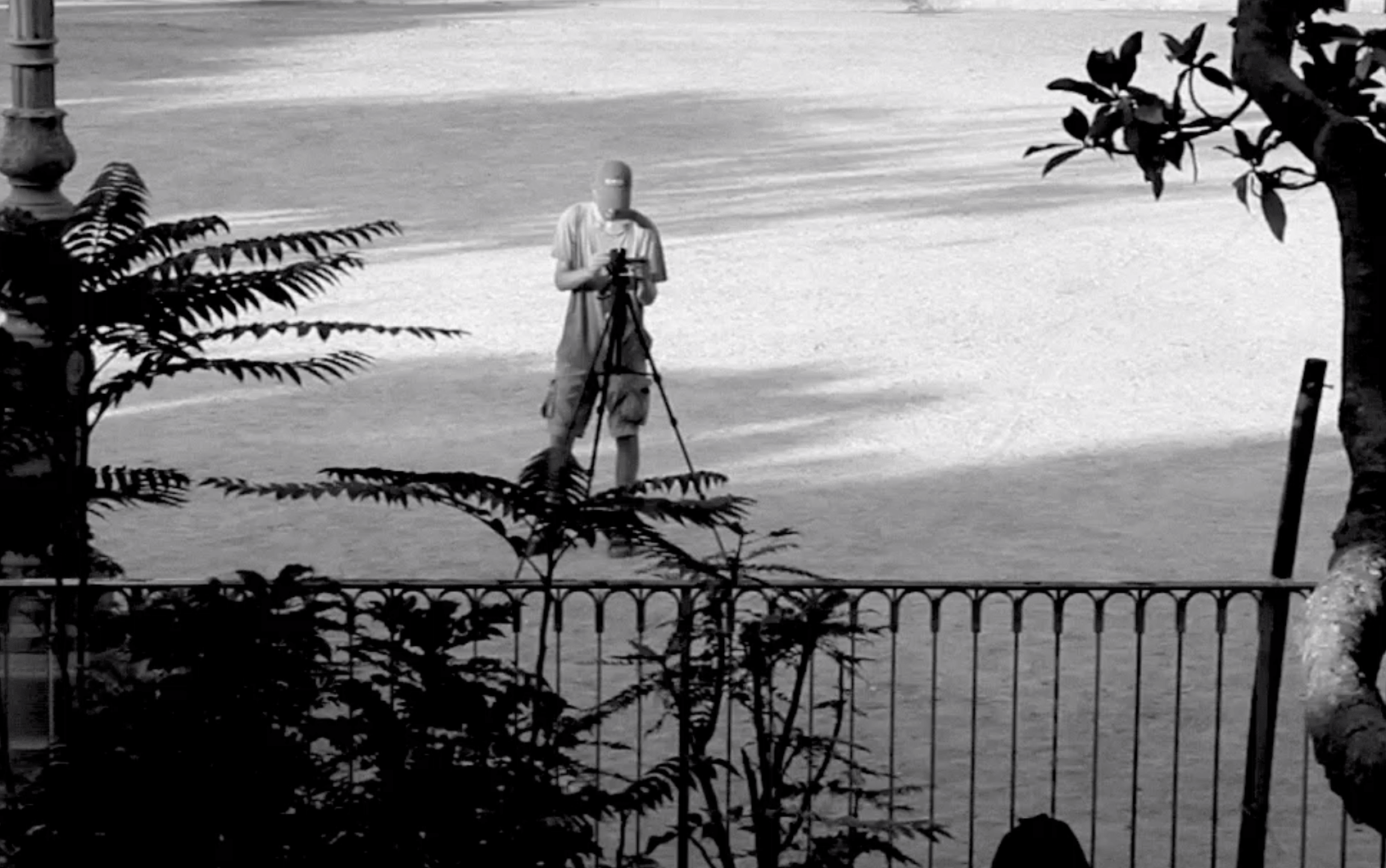 Comment filmer un arbre ?