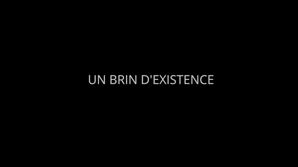 Un brin d'existence