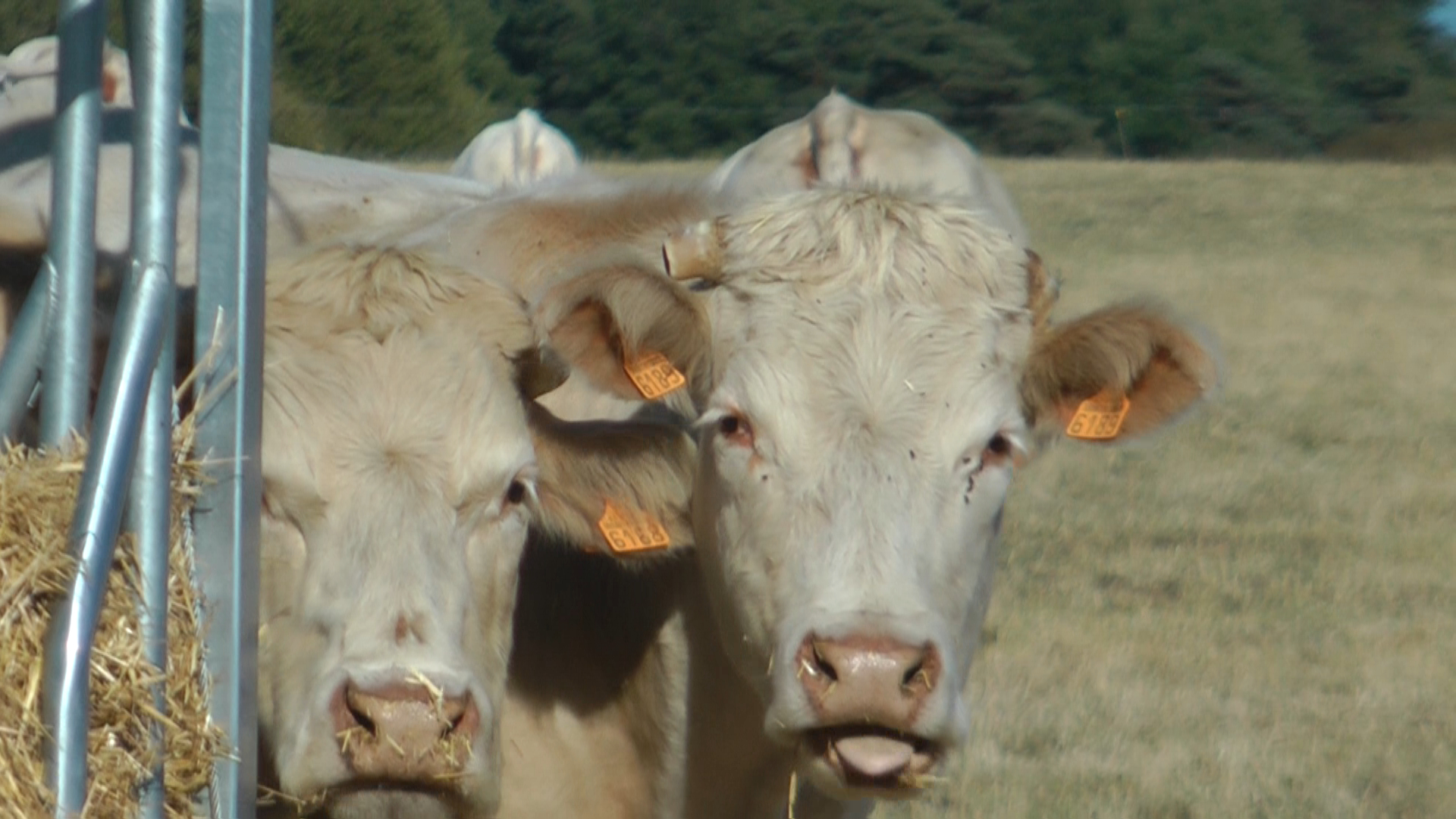 Une avancée dans le progrès