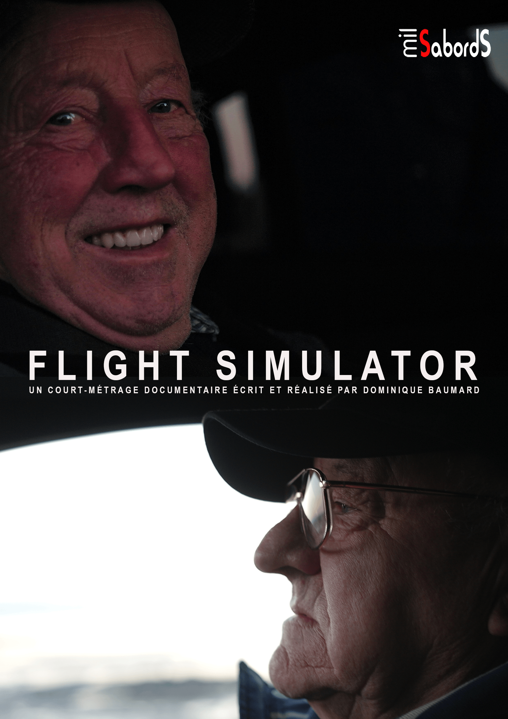 Flight simulator