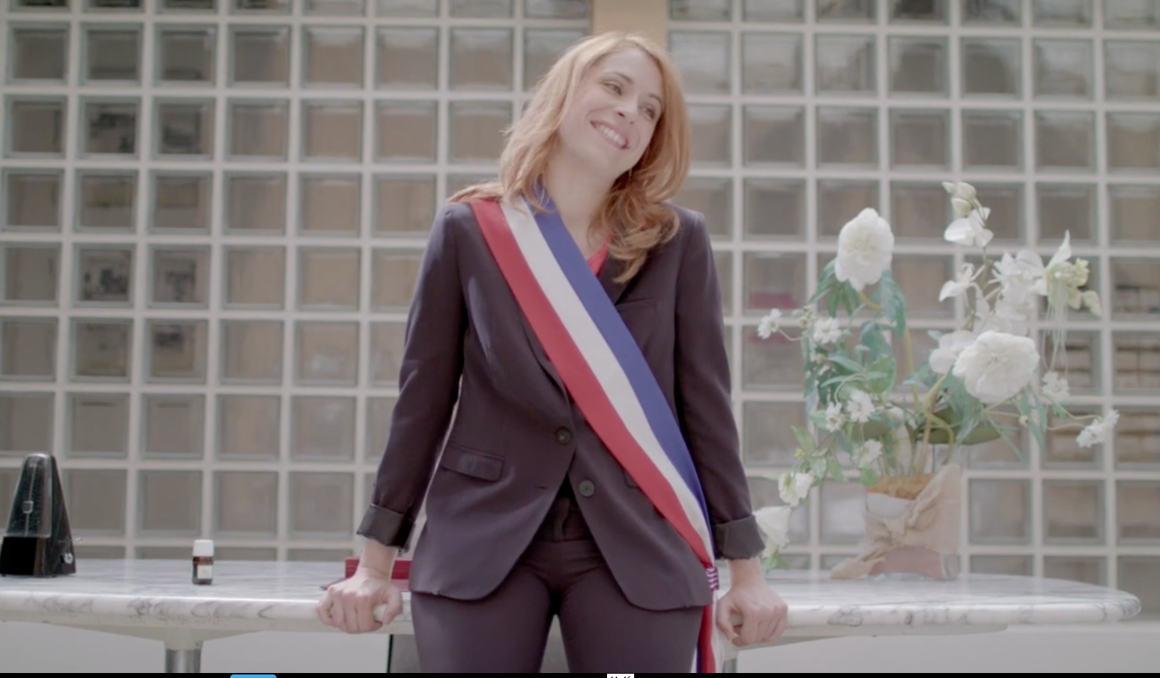 Canevas de libellules