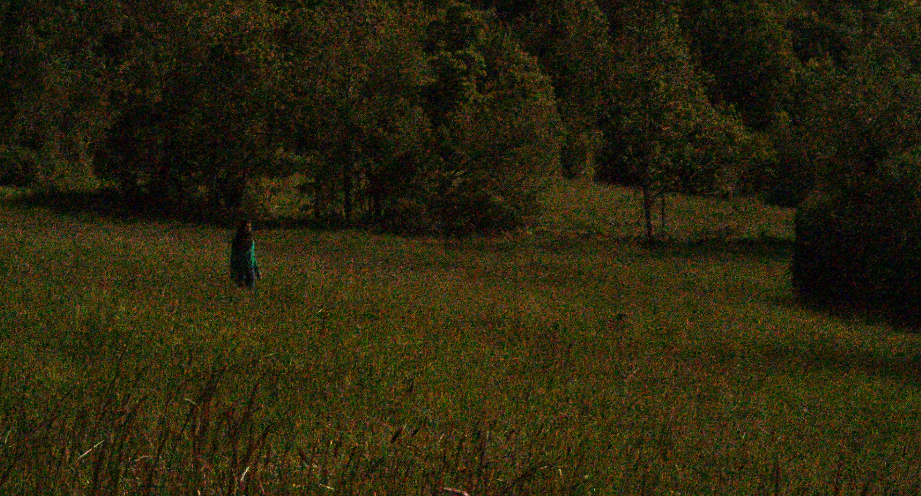 Derniers jours de mai