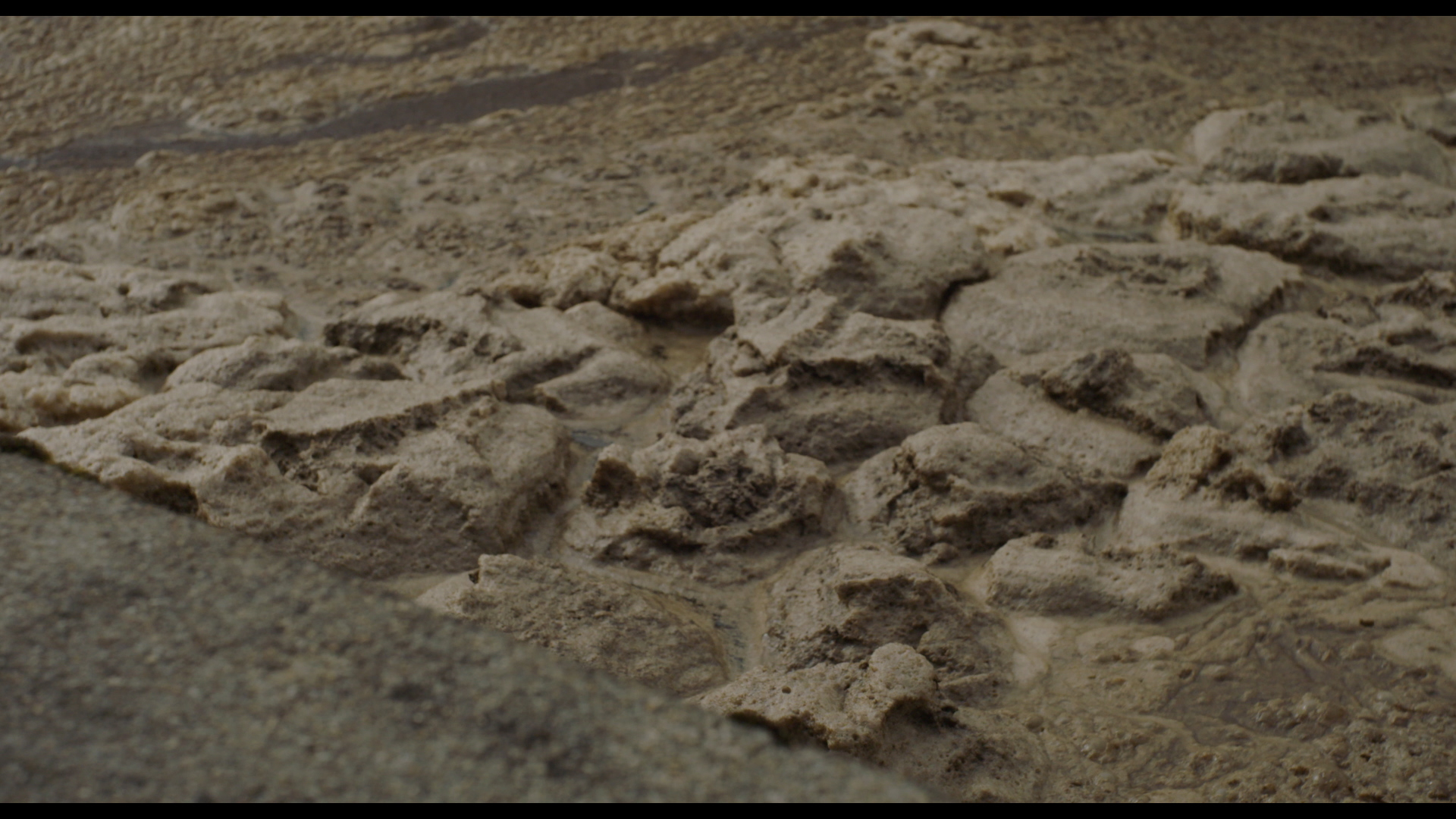 Avant que la terre ne brûle