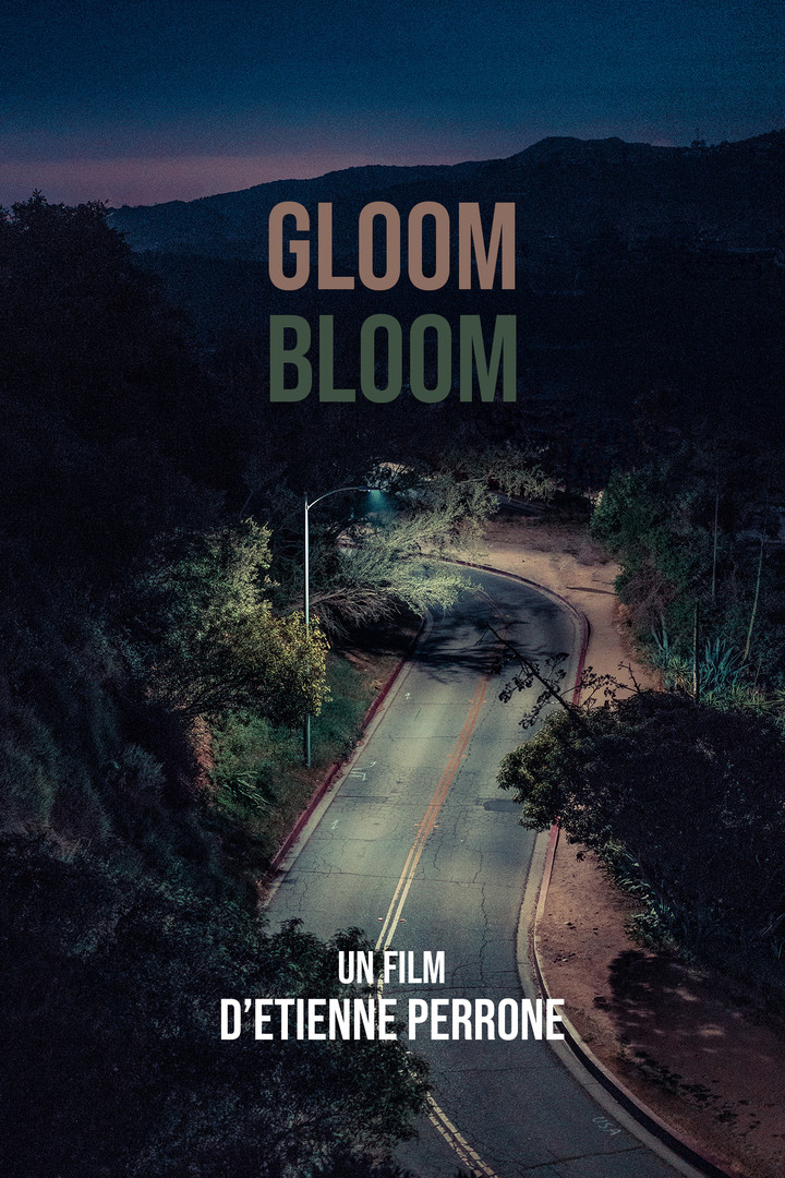 Gloom Bloom