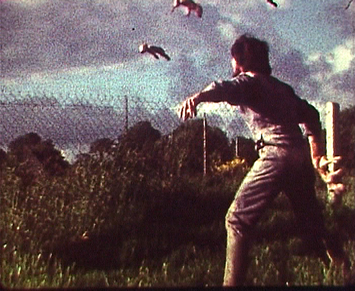 Cochon qui s'en dédit