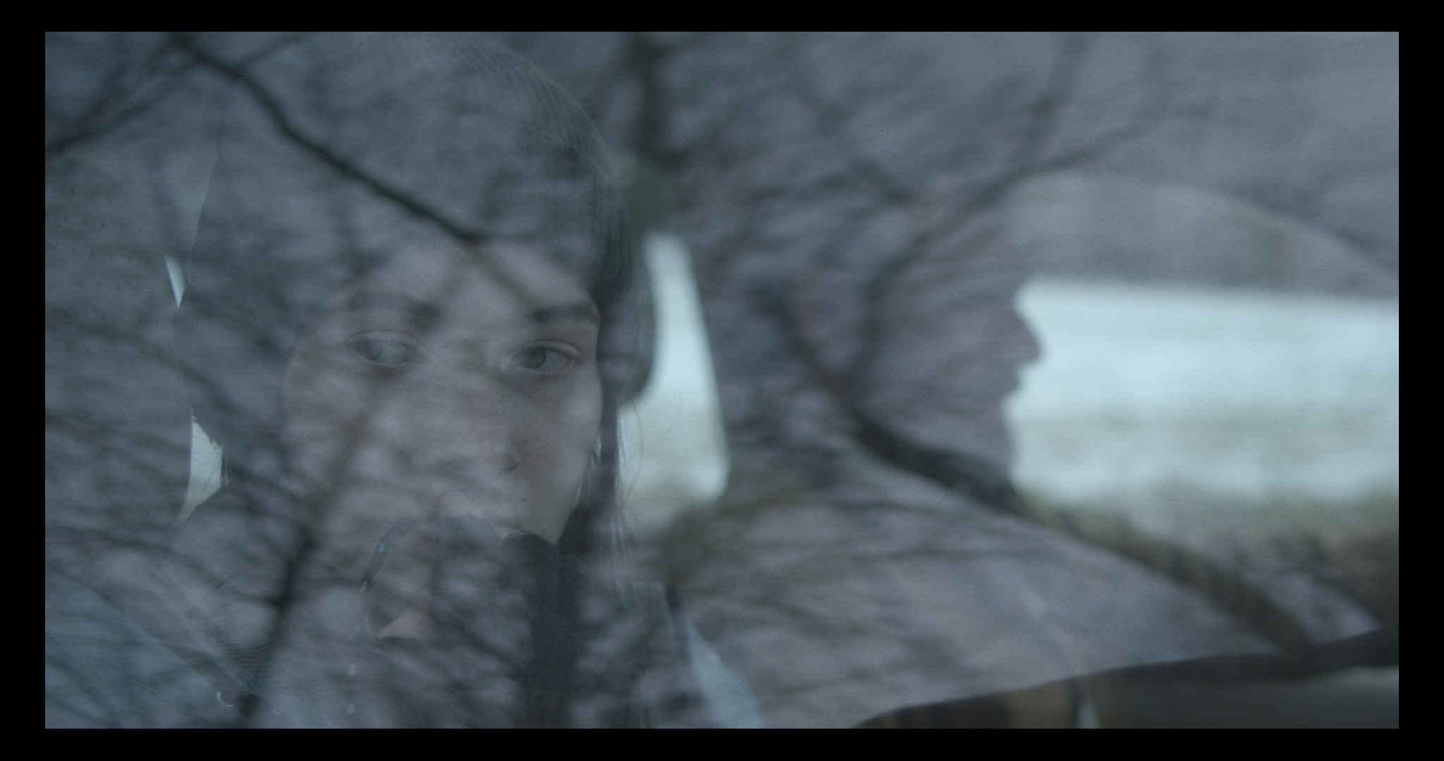 Thaw