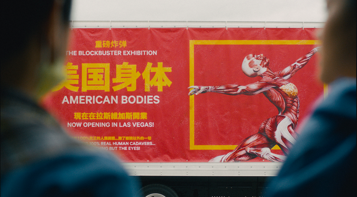 American Bodies