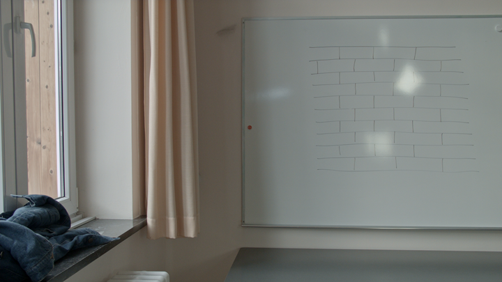 wasp and the weather