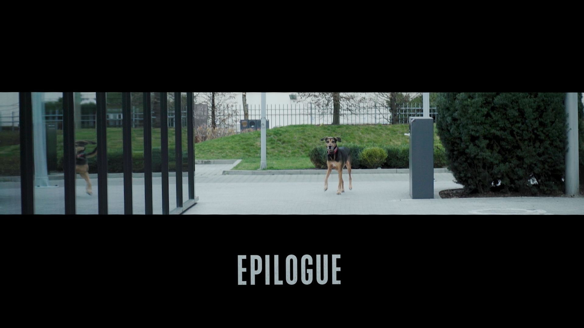 Epilog