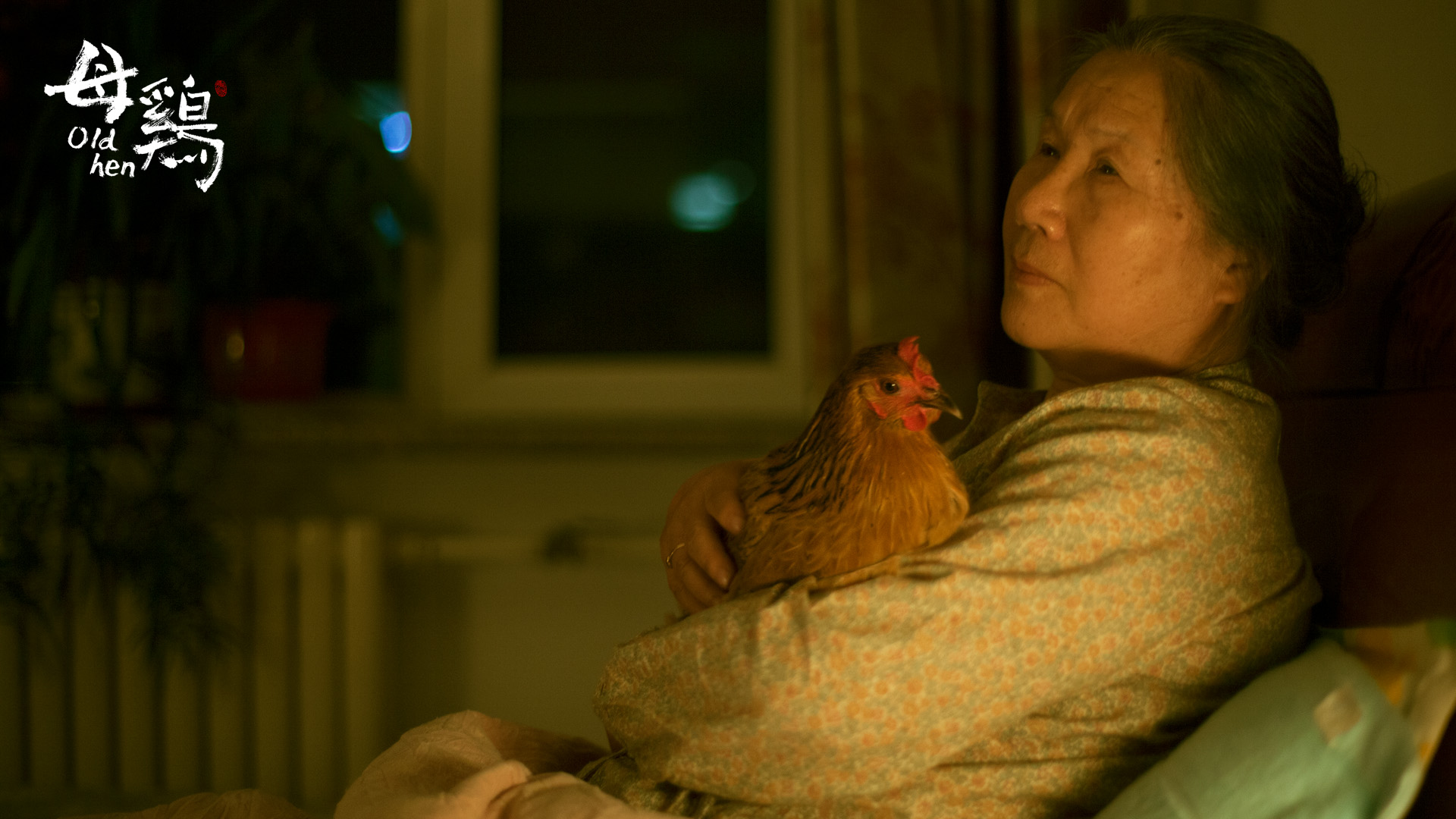 Old Hen