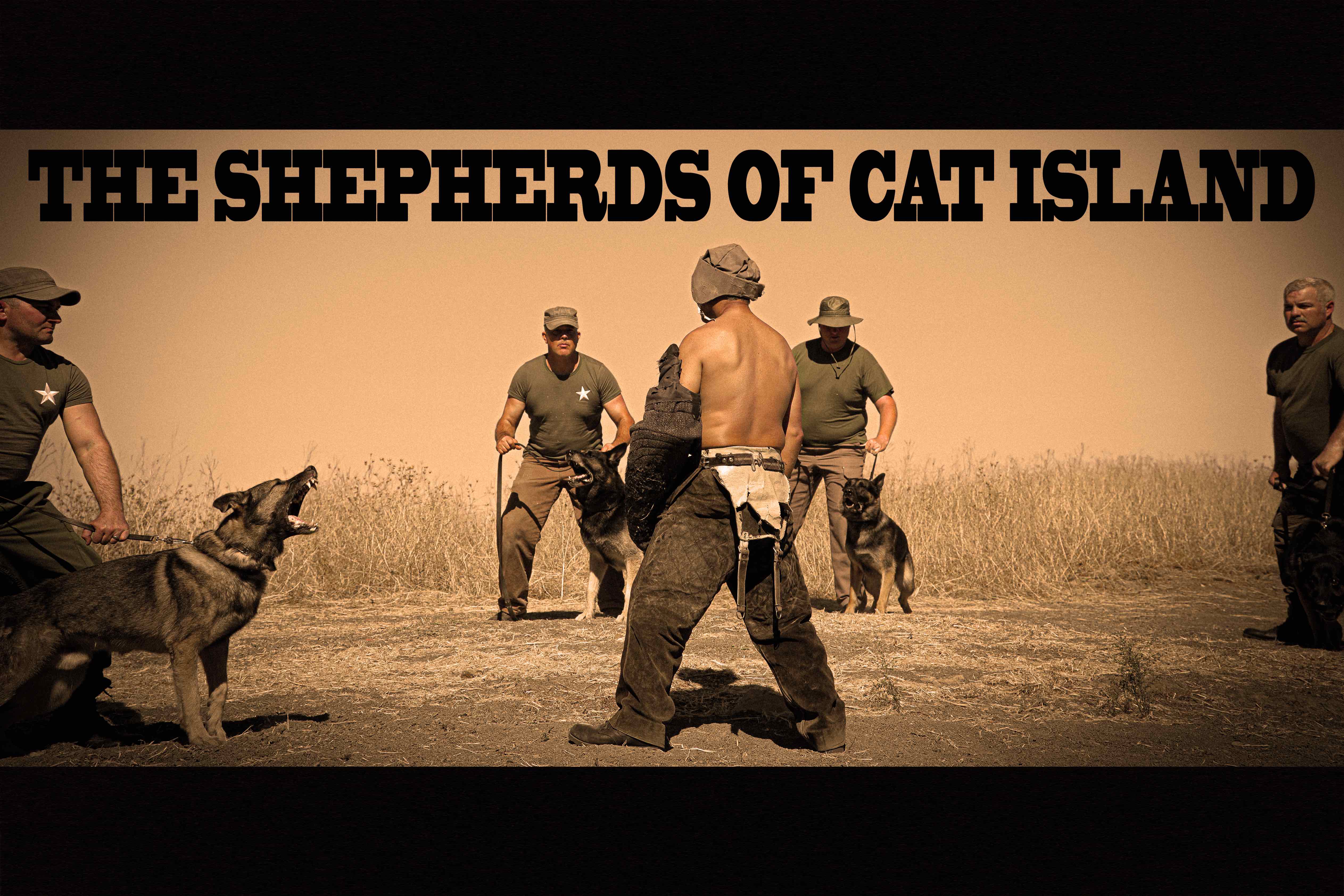 Shepherds of Cat Island