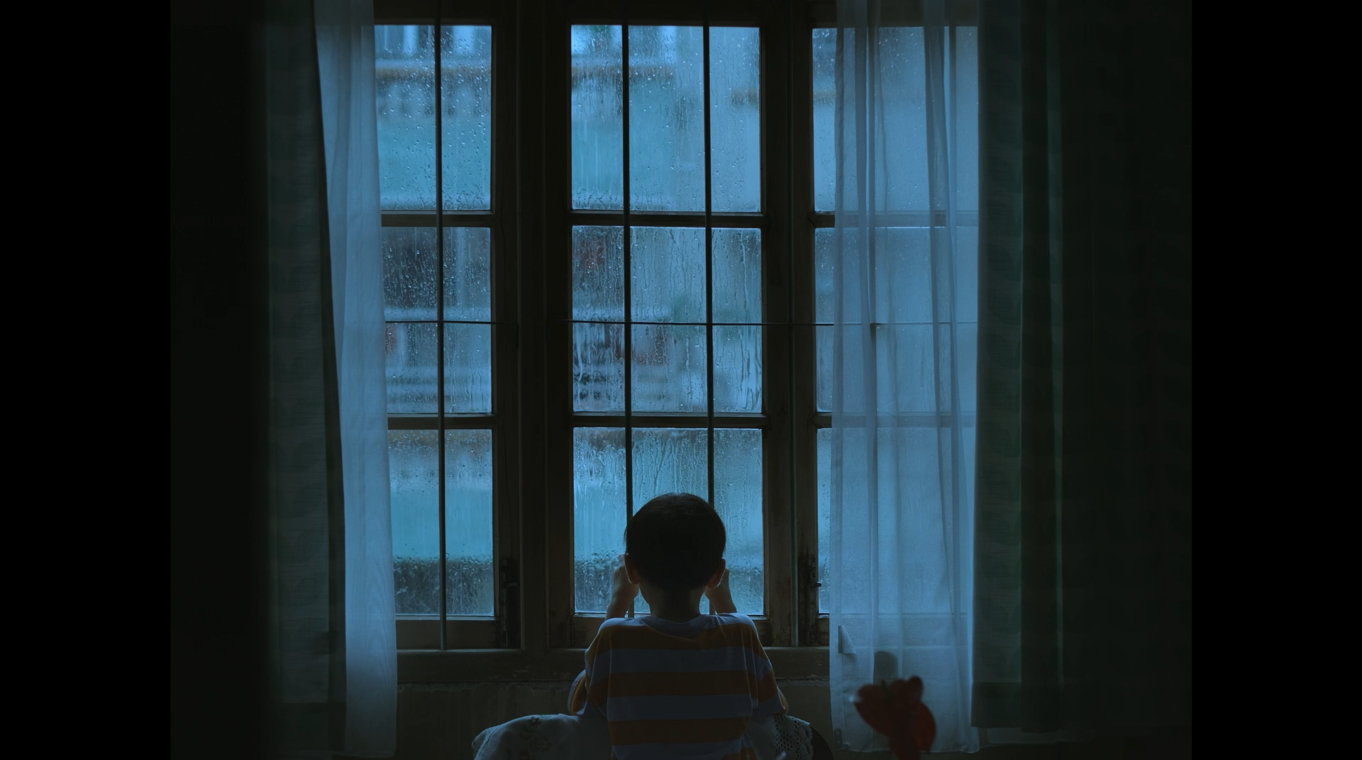 Before the typhoon comes