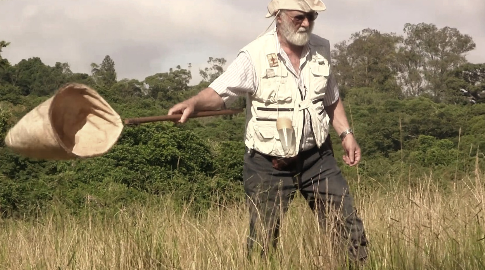 Arno lise: a arte da natureza