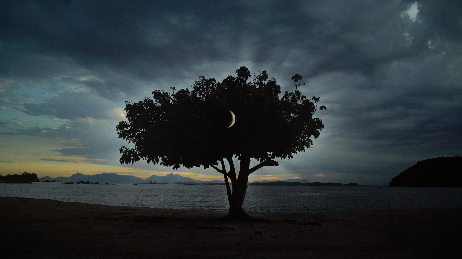 Prazer de matar insetos